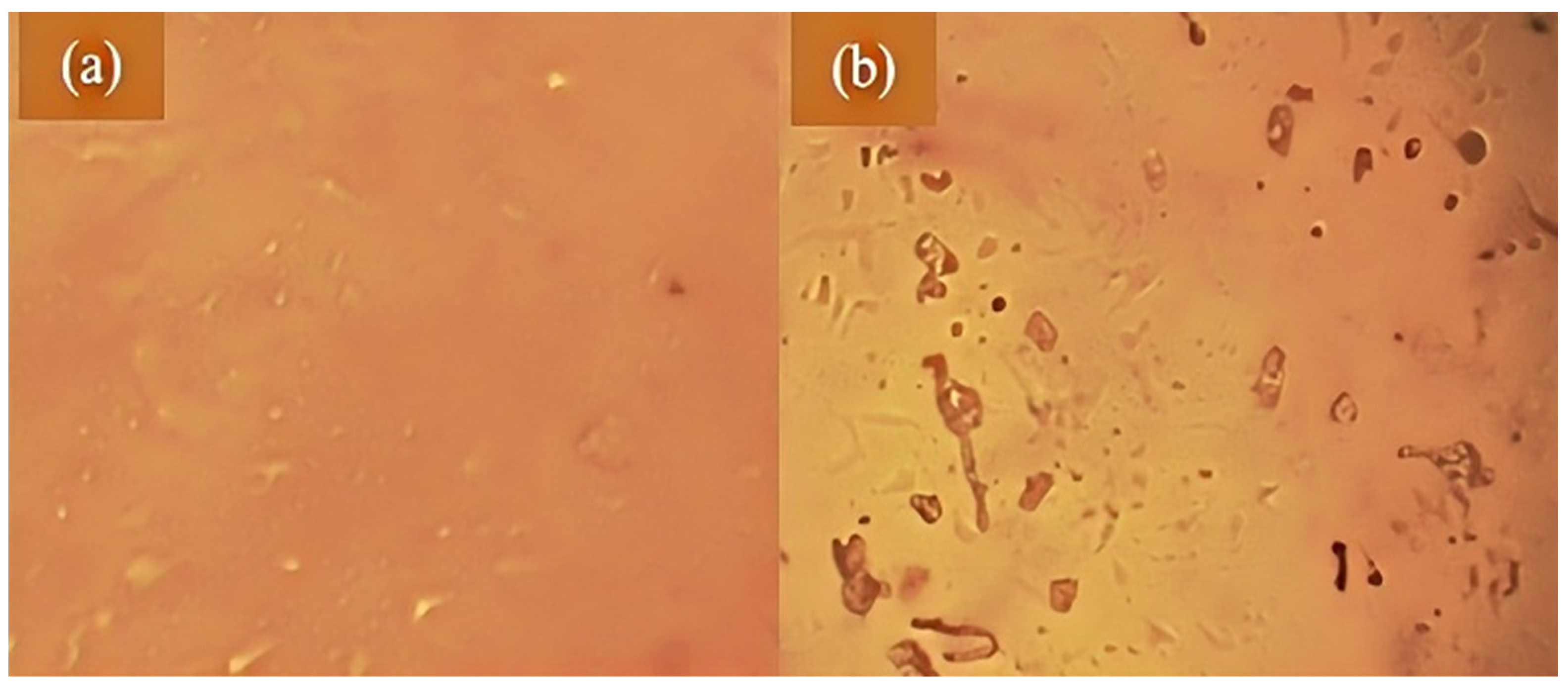 Lubricants 13 00417 g012 Lubricants 13 00417 g012