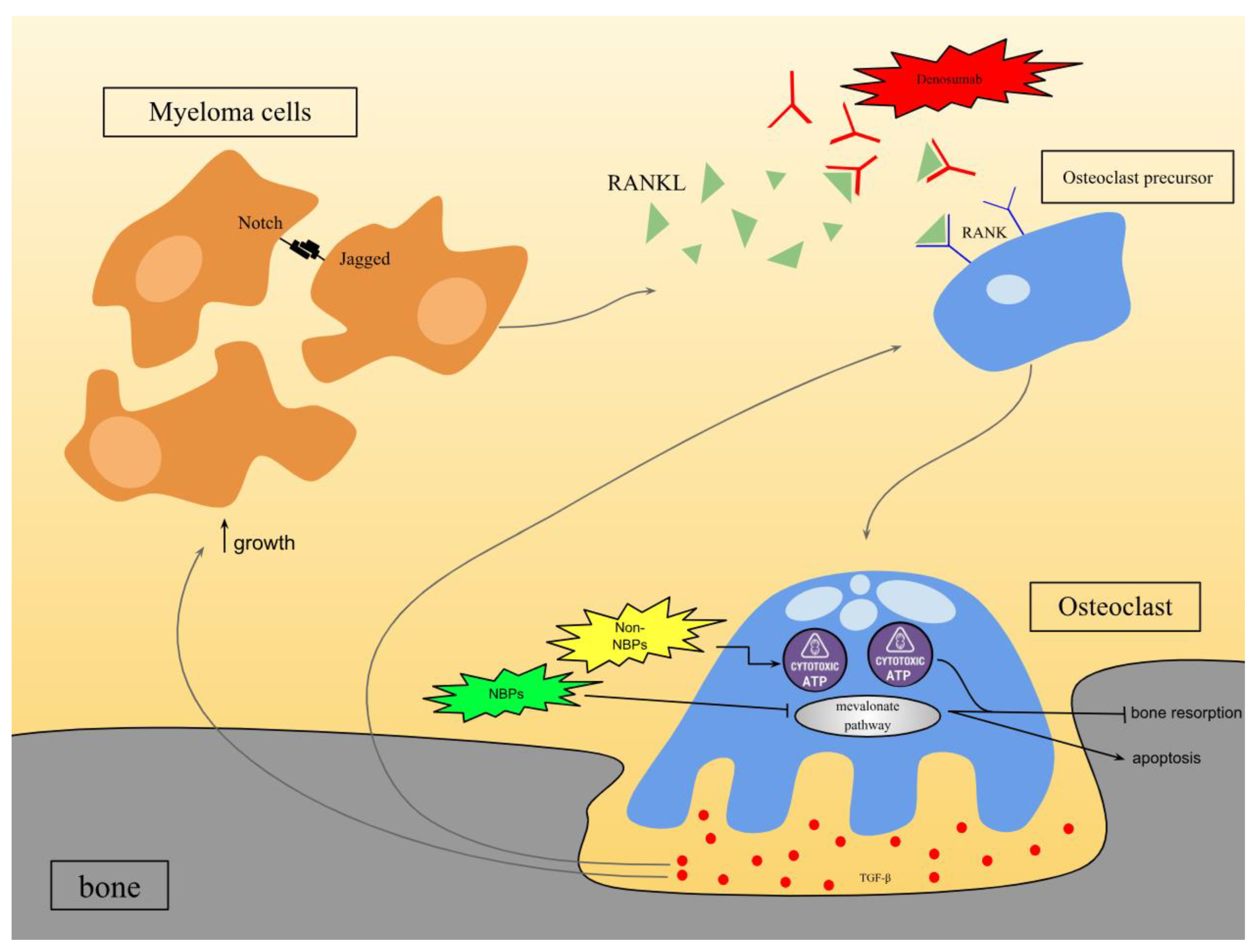 Lymphatics 03 00002 g001