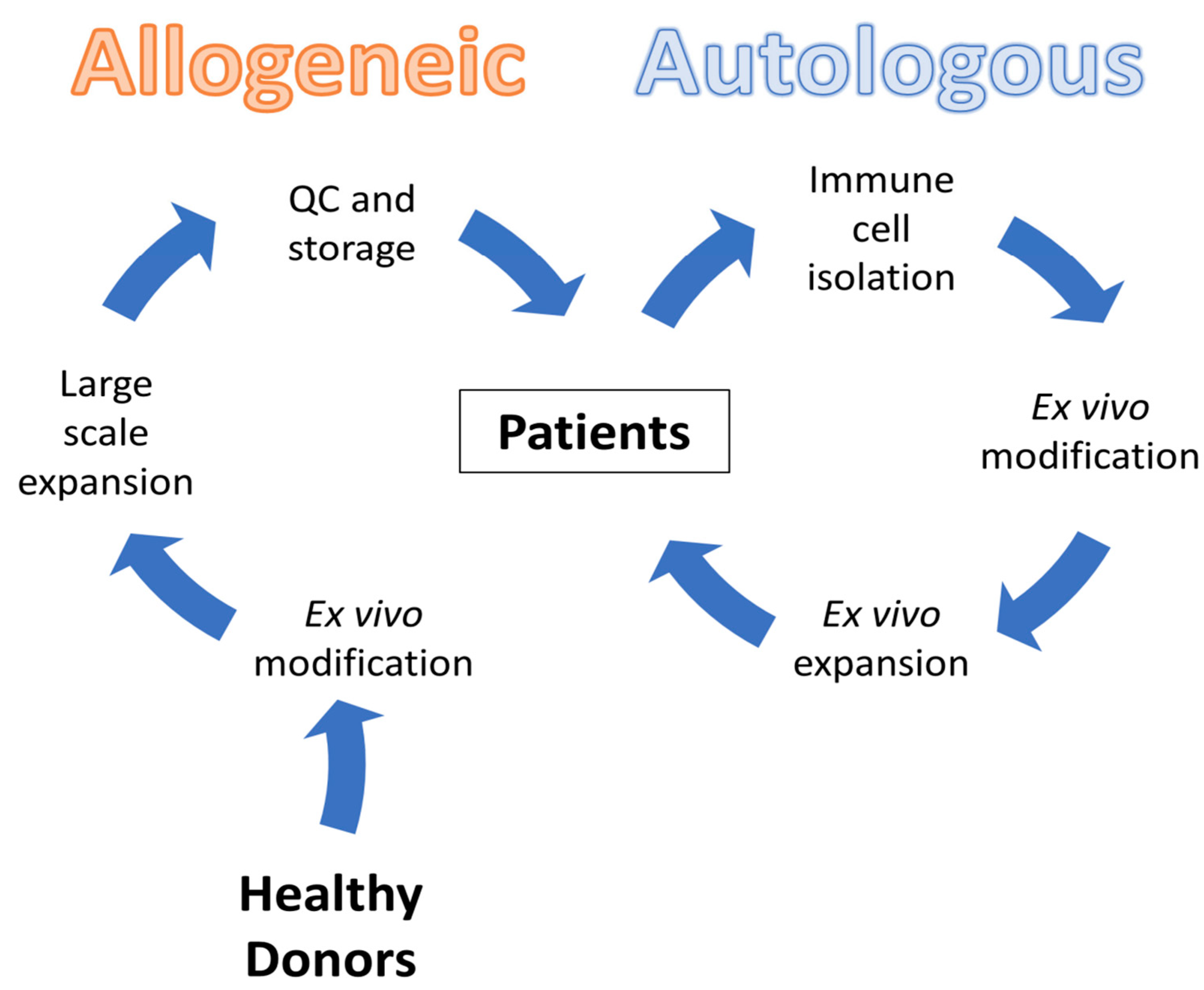Lymphatics 03 00002 g004