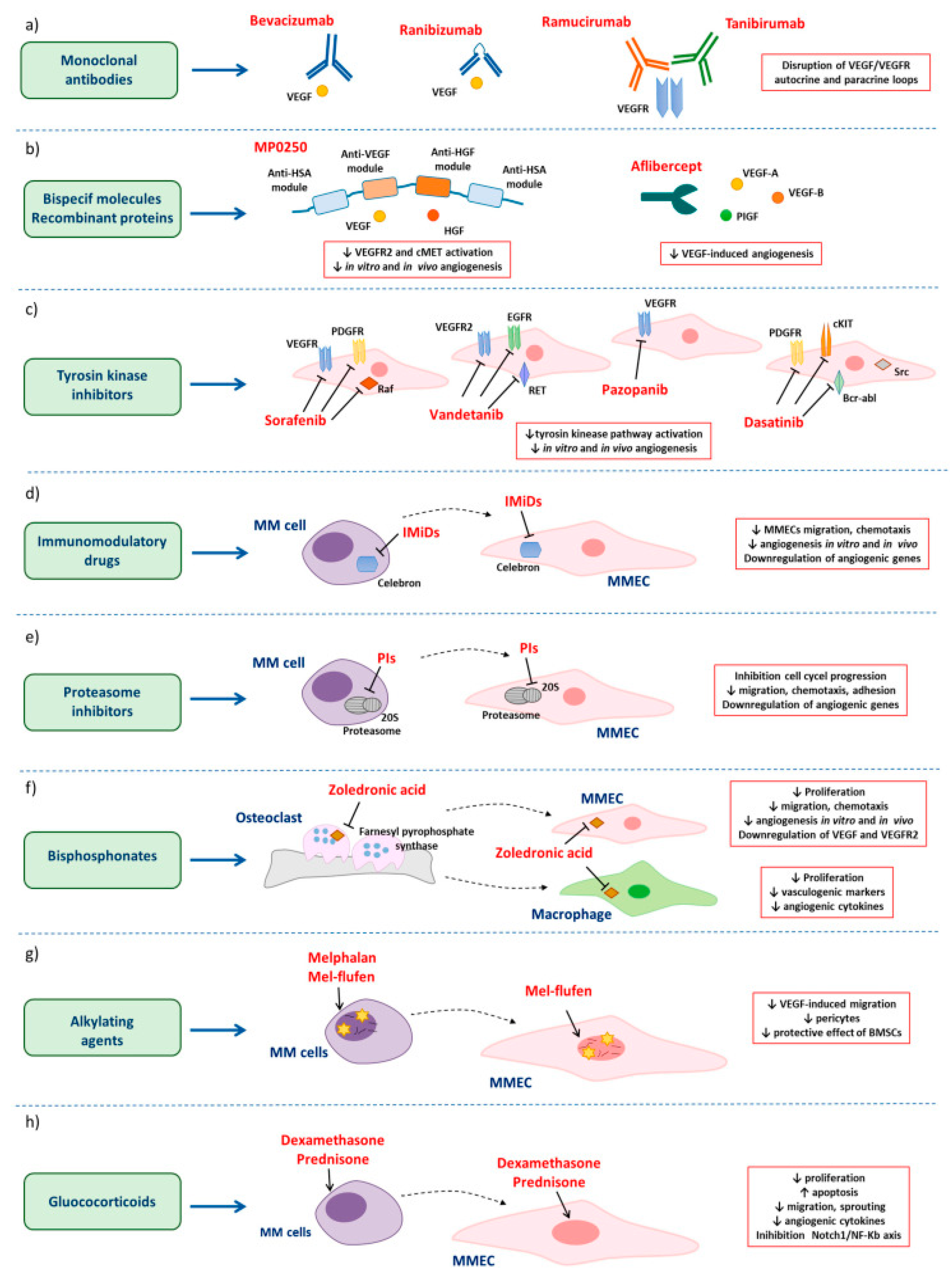 Lymphatics 03 00002 g009