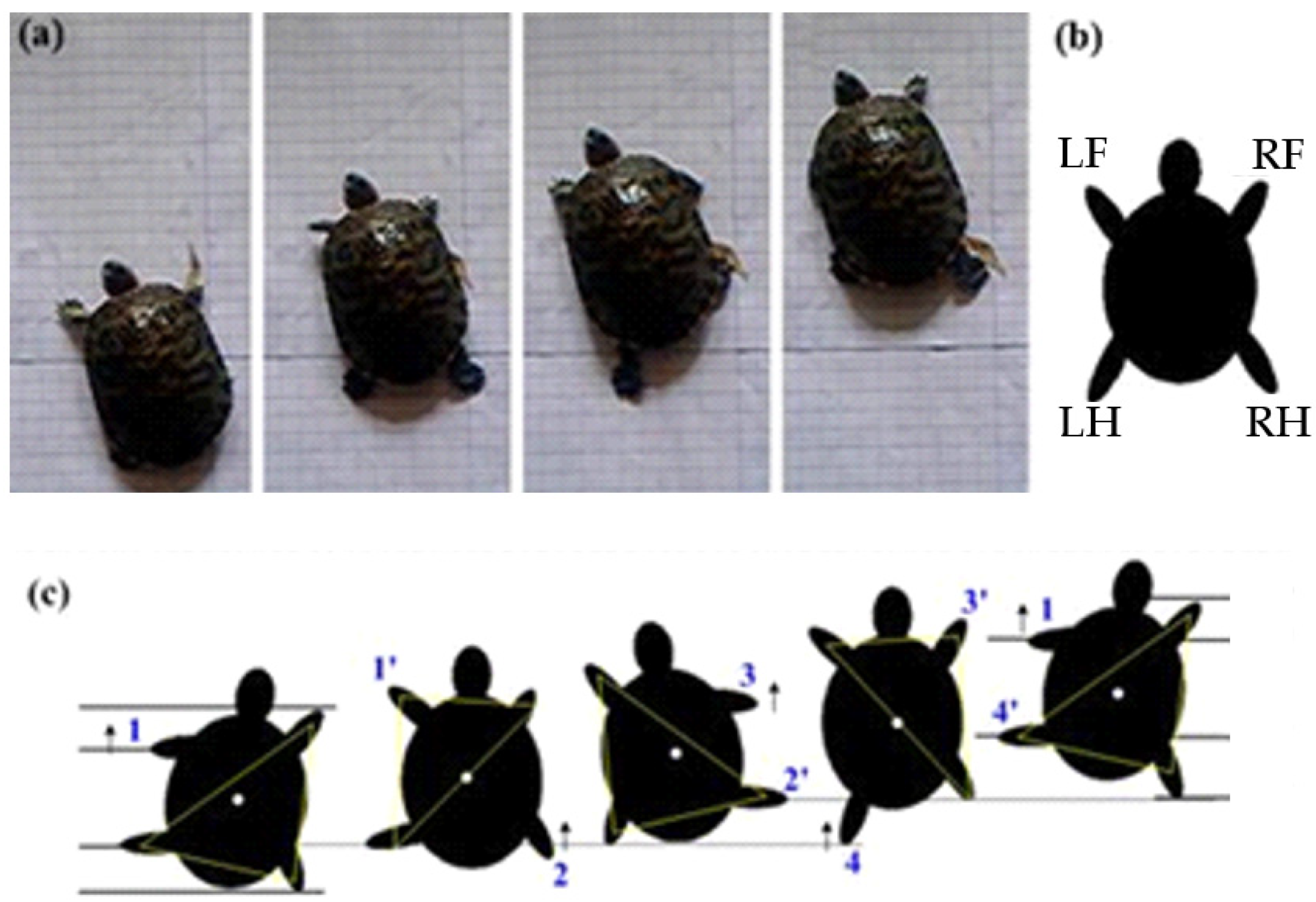 Machines 09 00086 g007