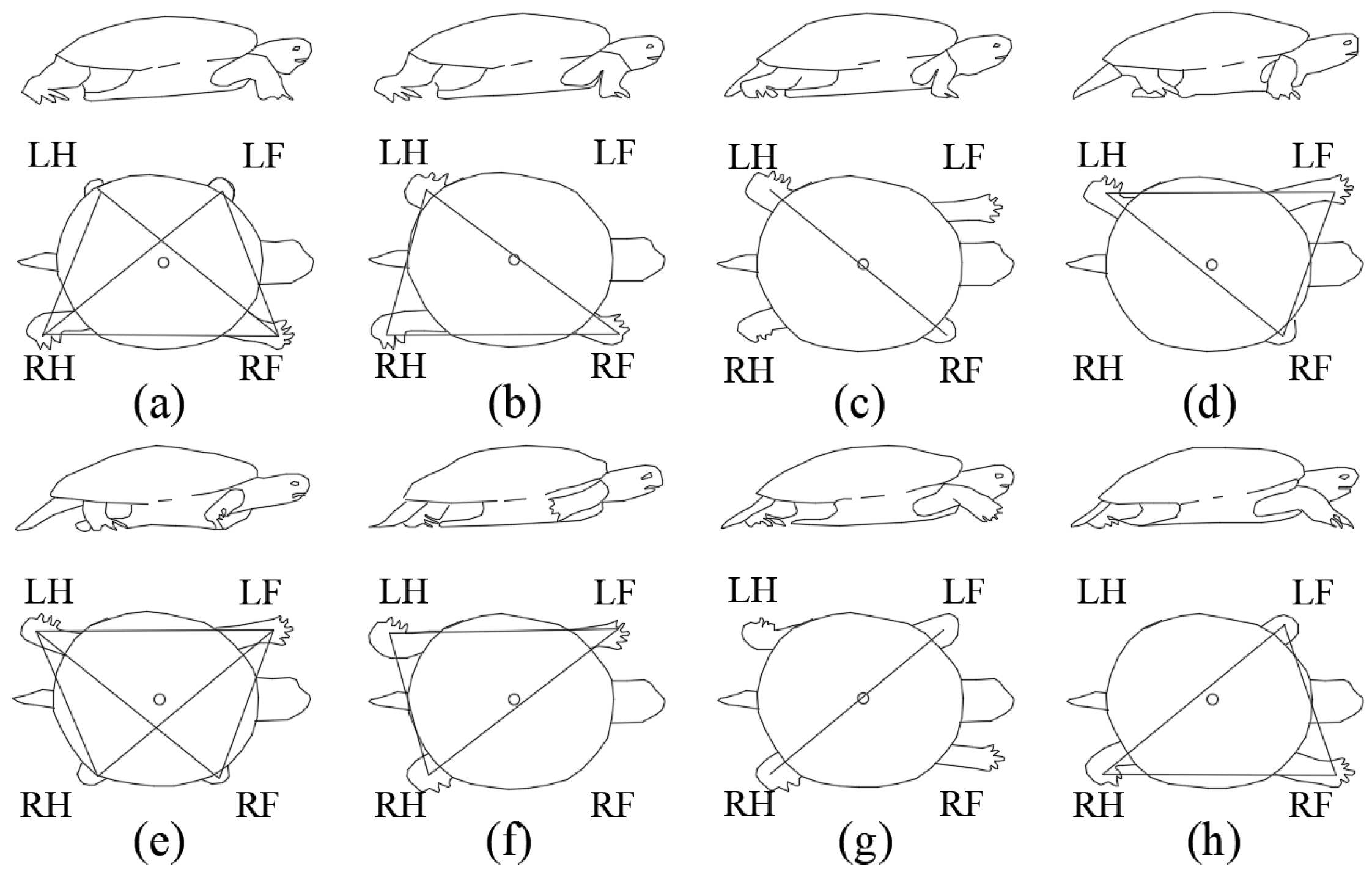 Machines 09 00086 g008