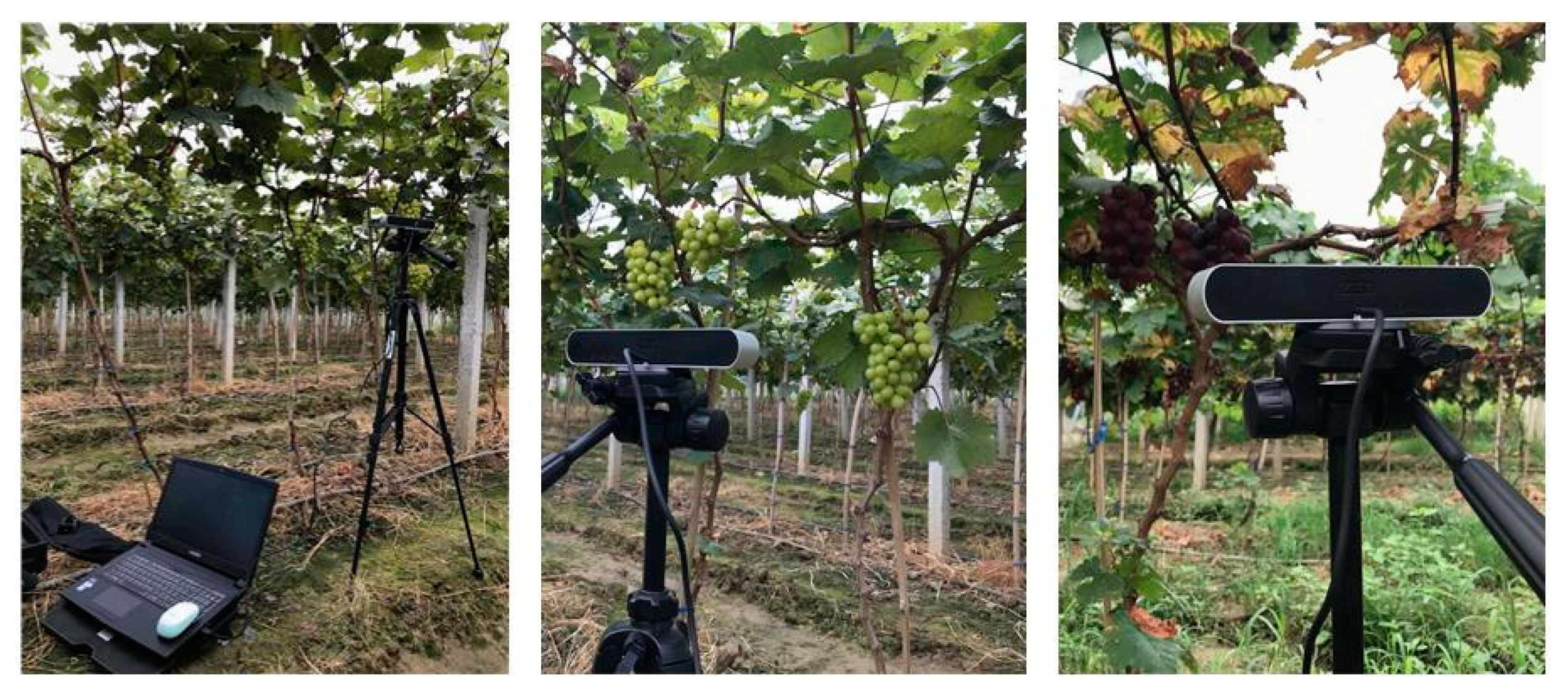 Machines 09 00233 g002