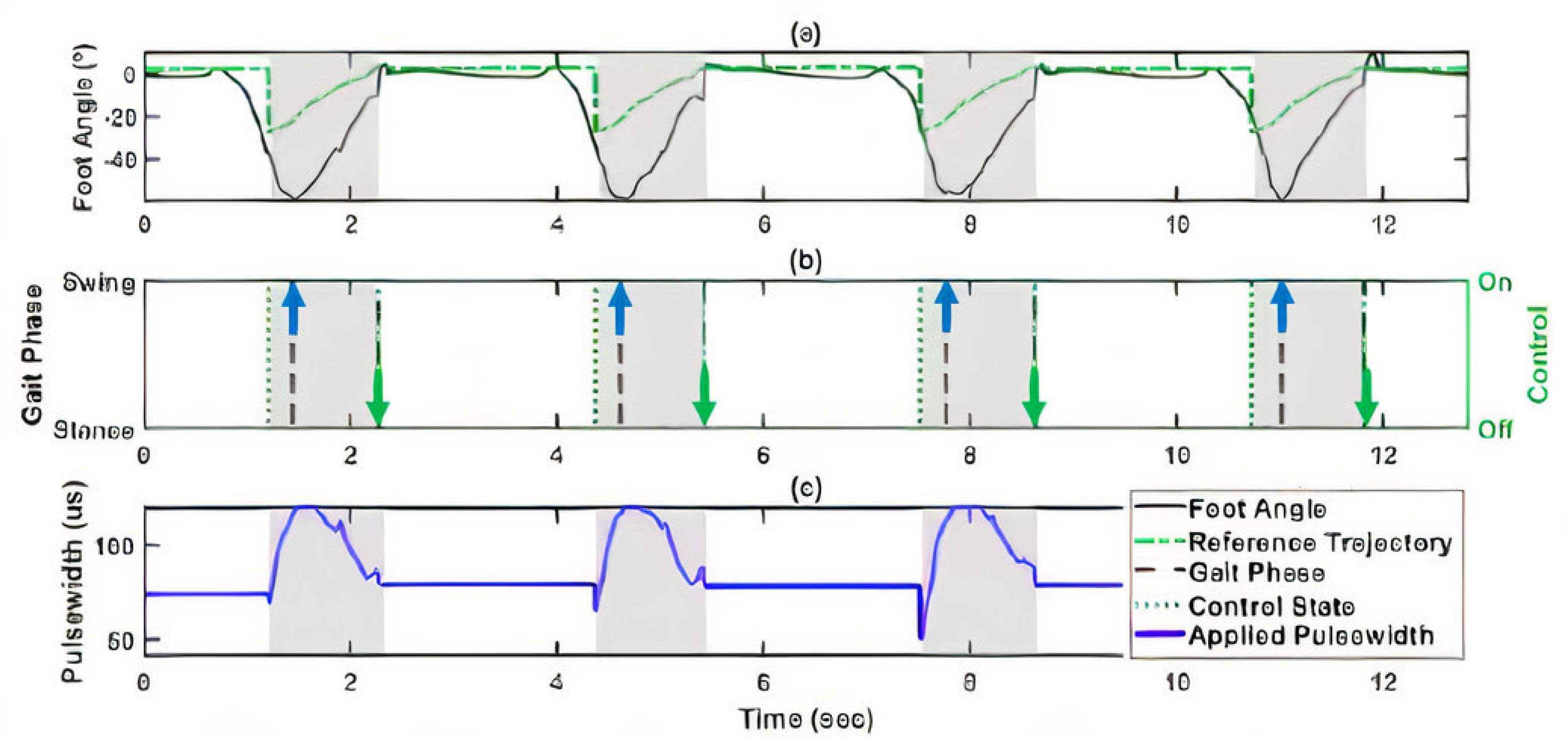 NMES Parameters for Foot Drop