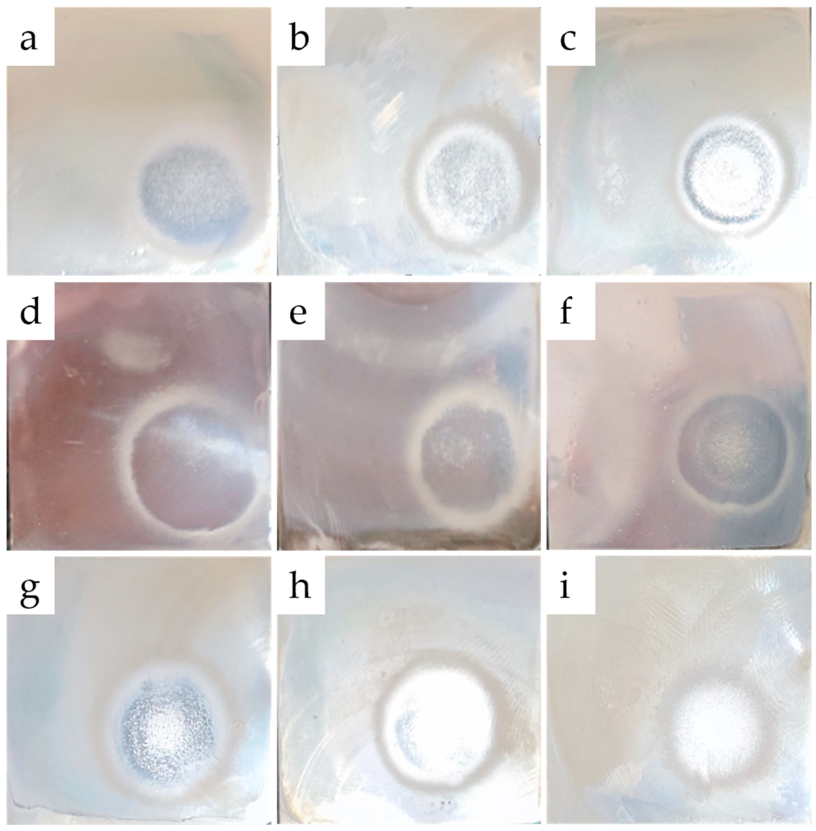 Machines 10 00891 g005