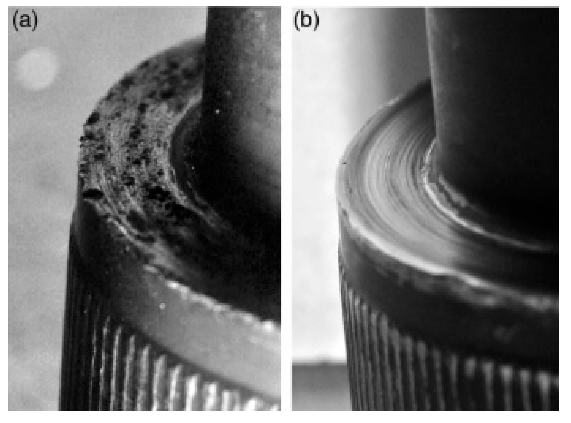 Machines 11 00212 g005