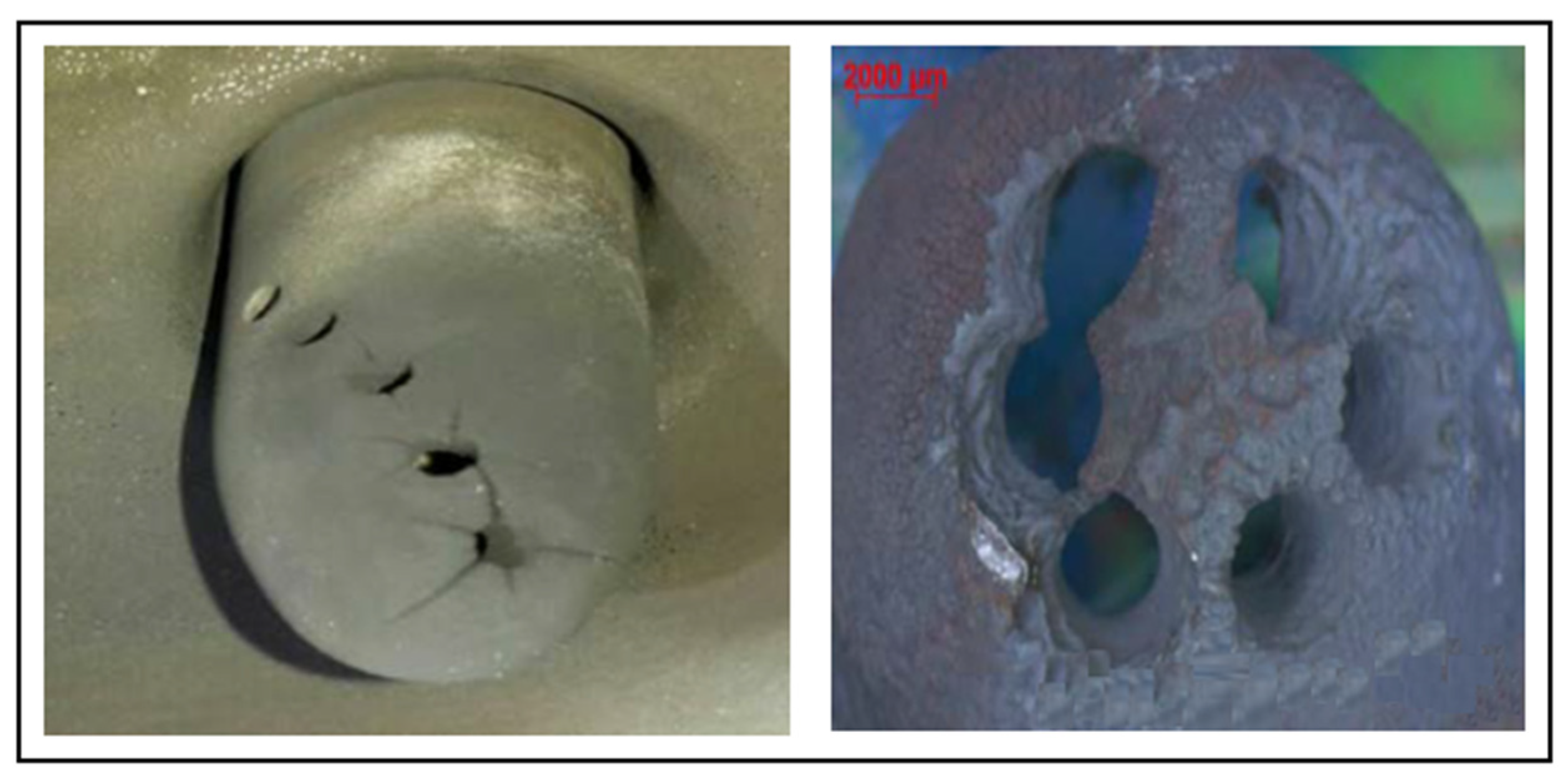 Machines 11 00456 g001