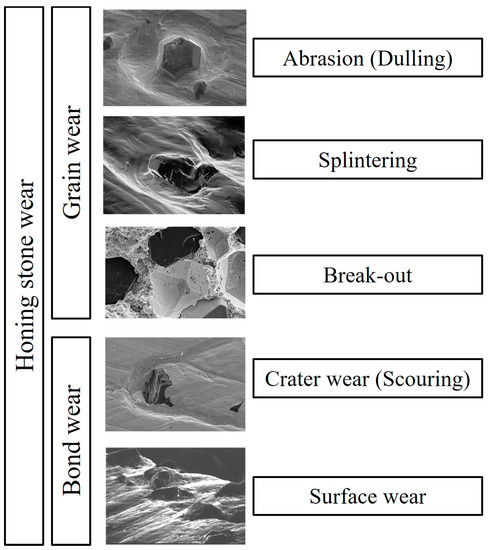 Grey matter increase with improvement in rake task performance. (a