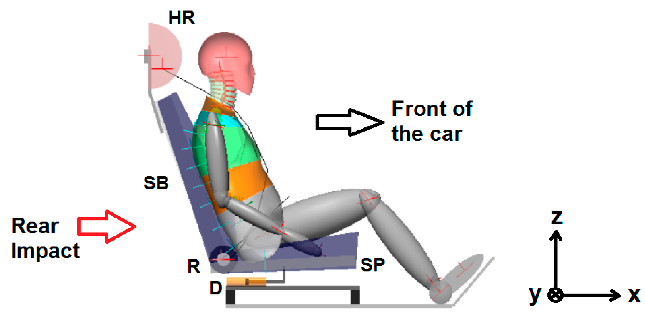 What Happens To Your Body During a Crash? - Johnson & Lundgreen