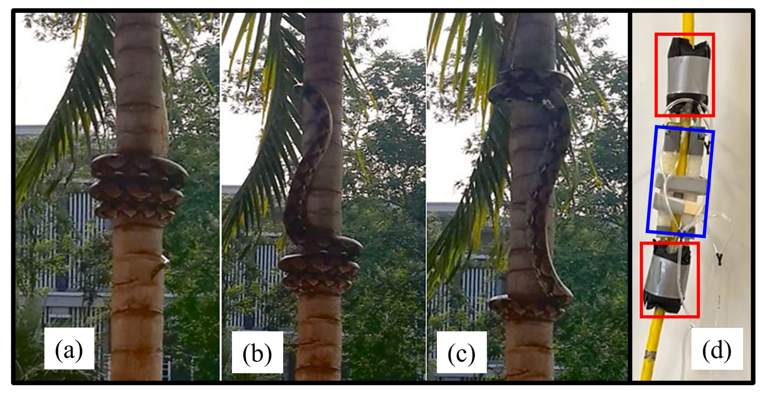 Machines 12 00157 g001