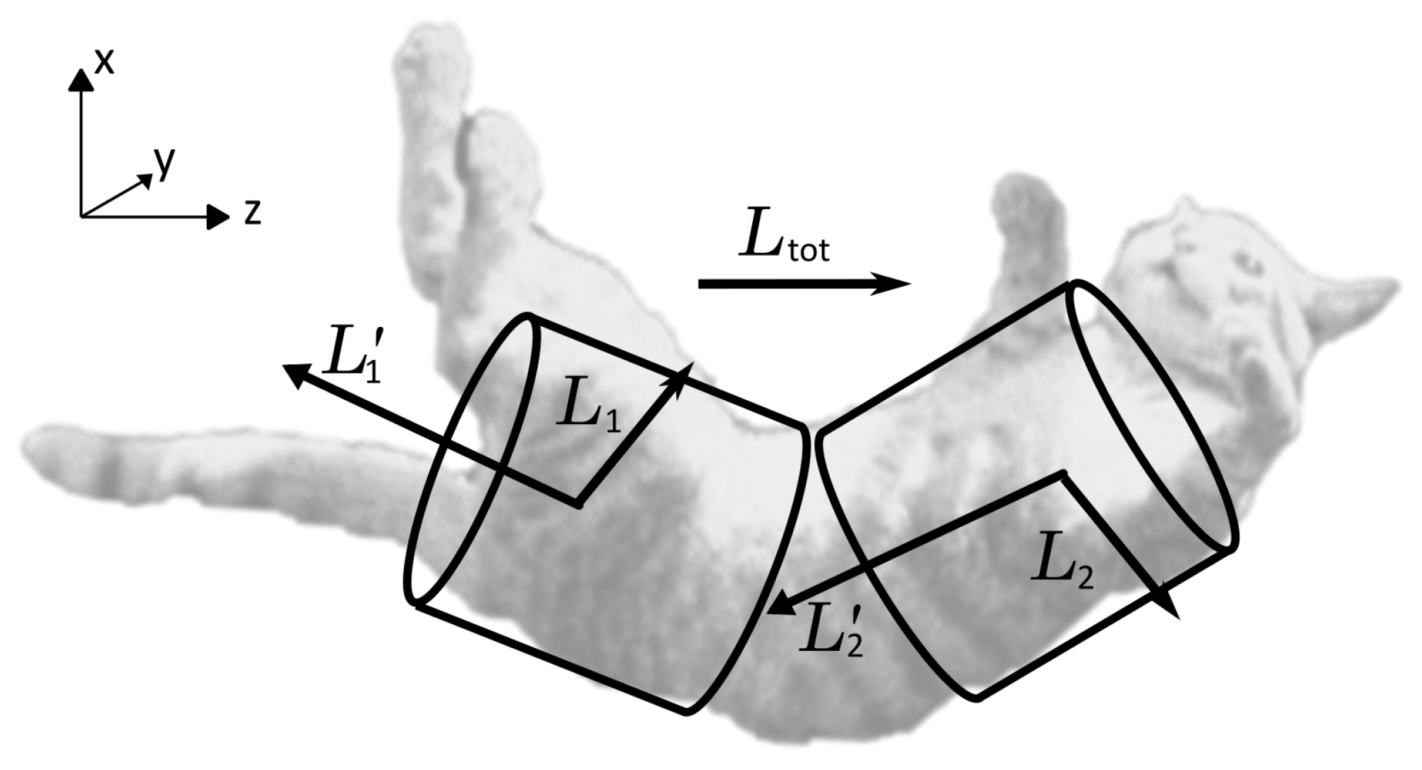 Machines 12 00232 g013
