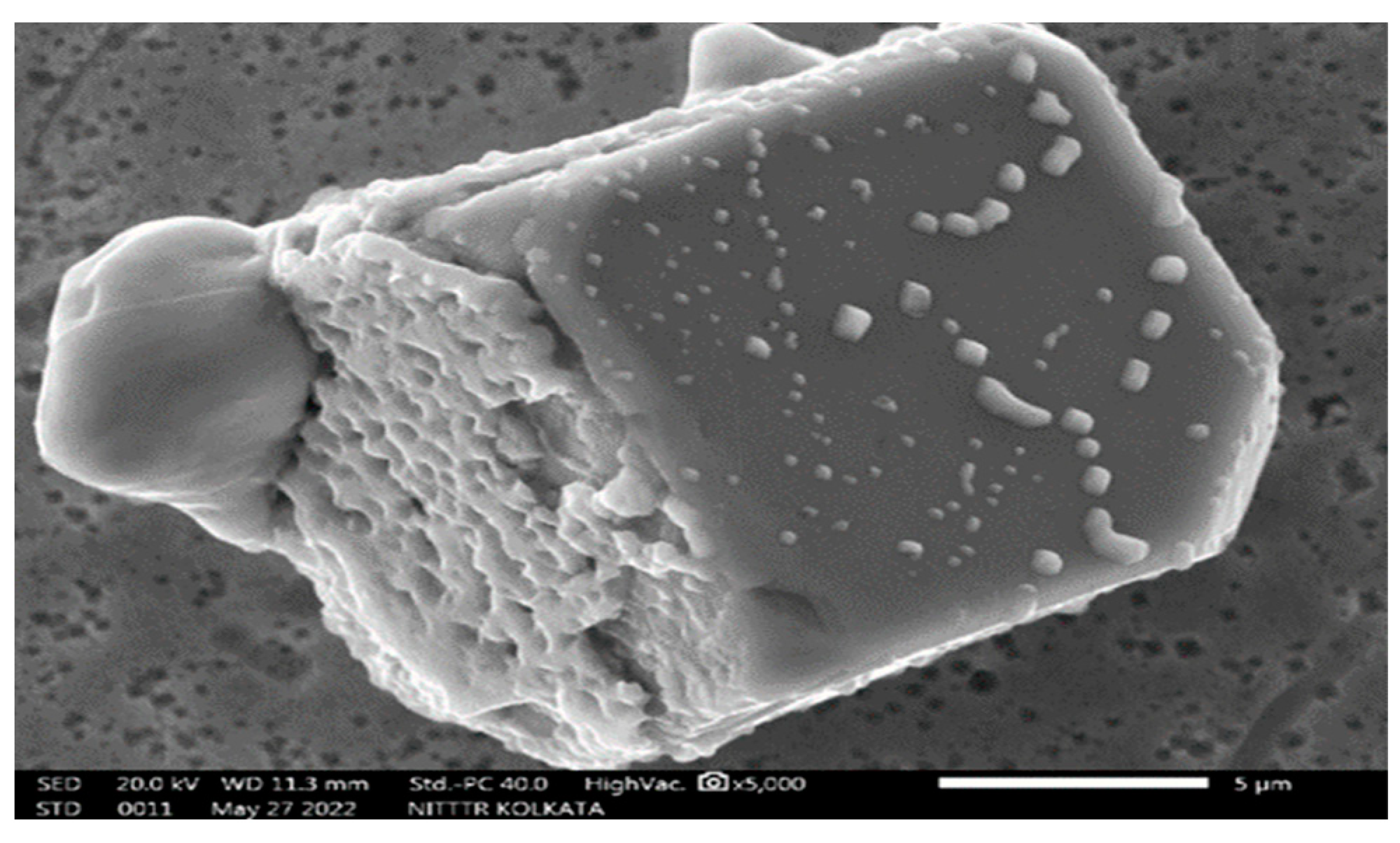 Machines 12 00335 g019