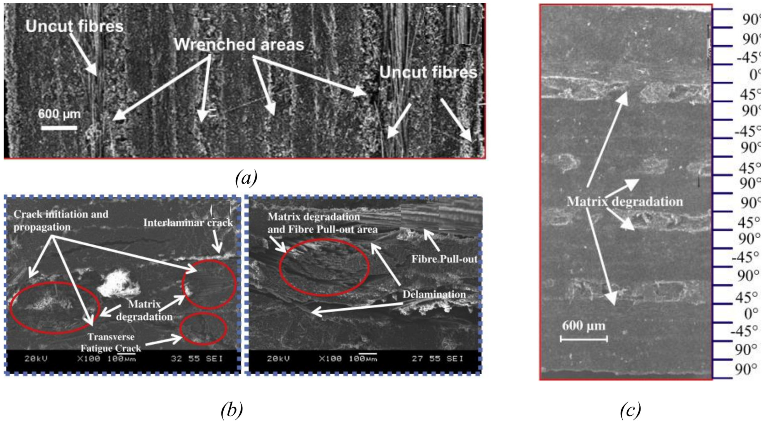 Machines 12 00561 g005