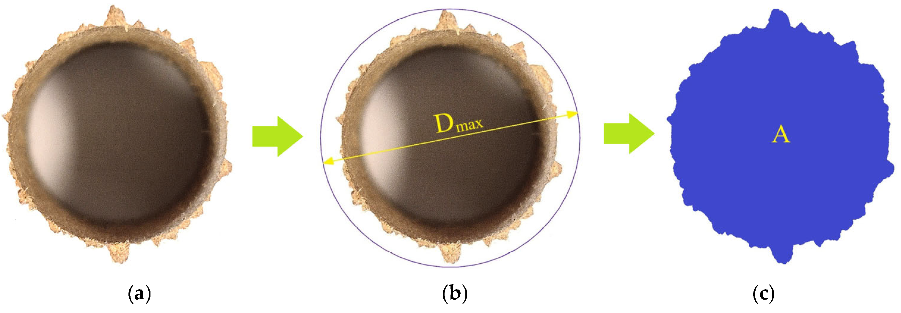 Machines 13 00249 g007
