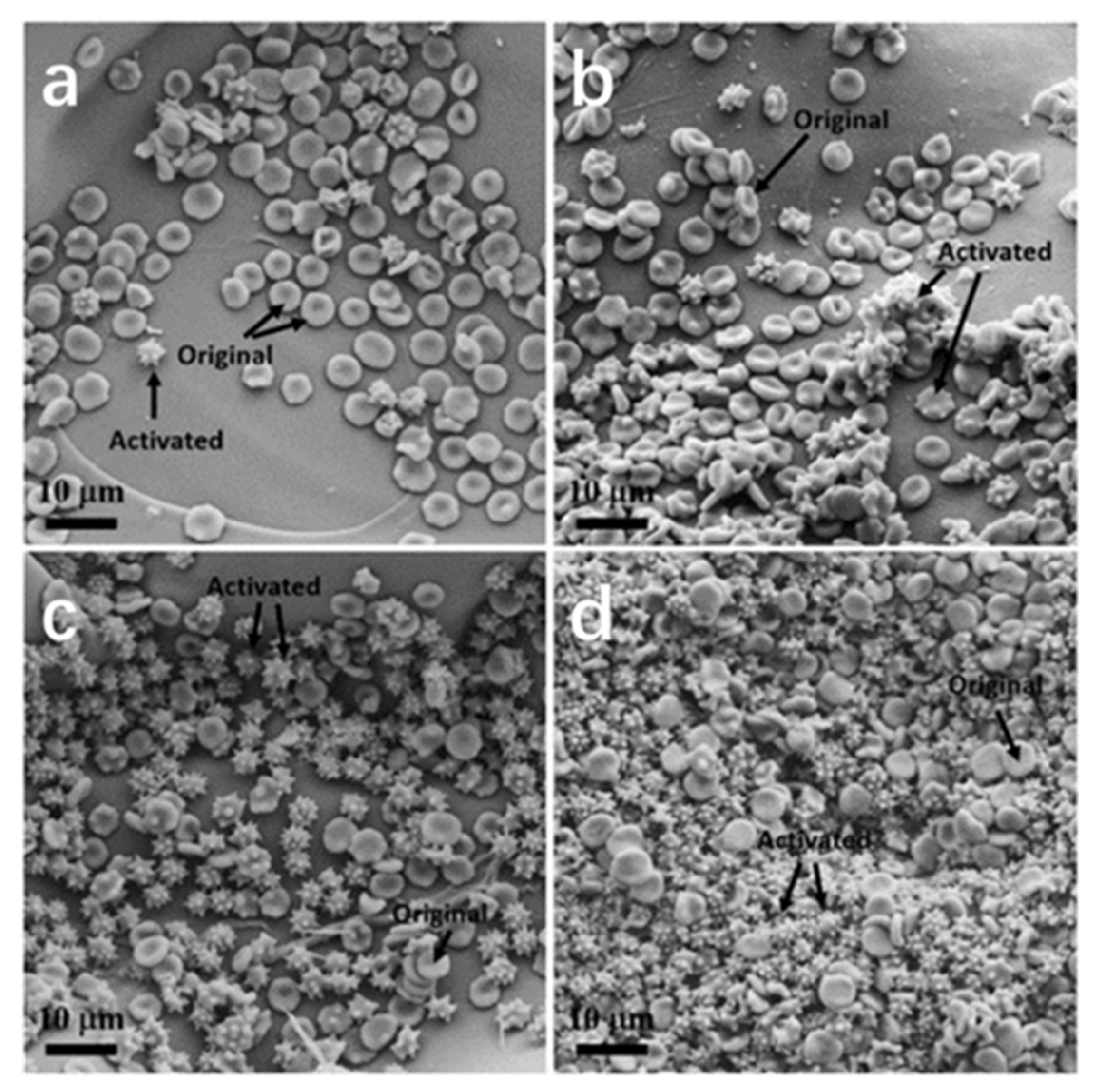 Macromol 02 00022 g002