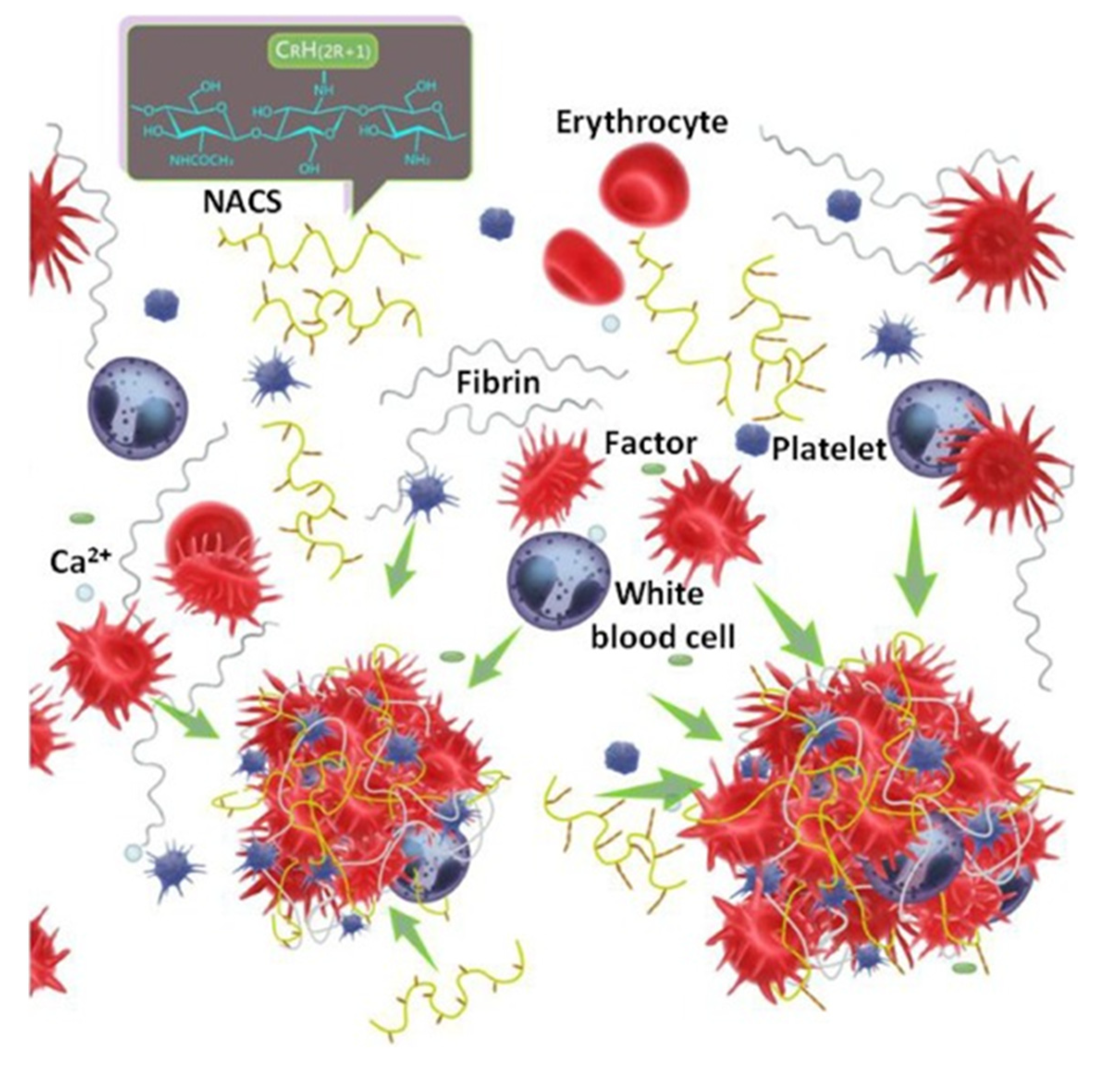 Macromol 02 00022 g003