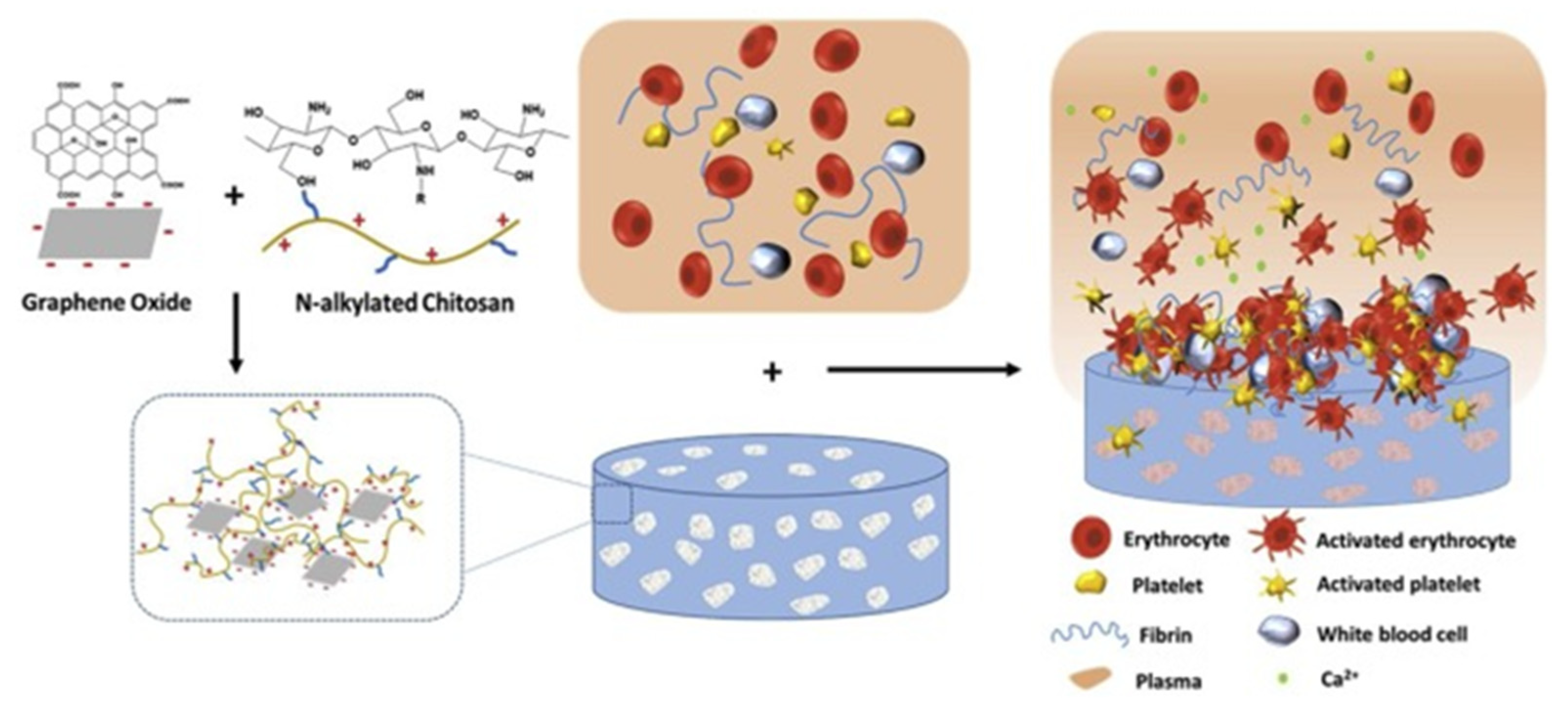 Macromol 02 00022 g006