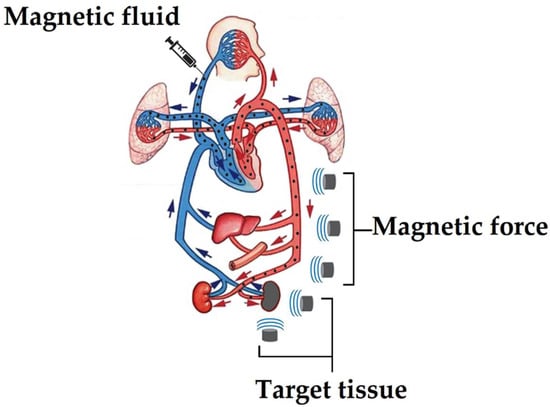 https://www.mdpi.com/macromol/macromol-02-00024/article_deploy/html/images/macromol-02-00024-g002-550.jpg