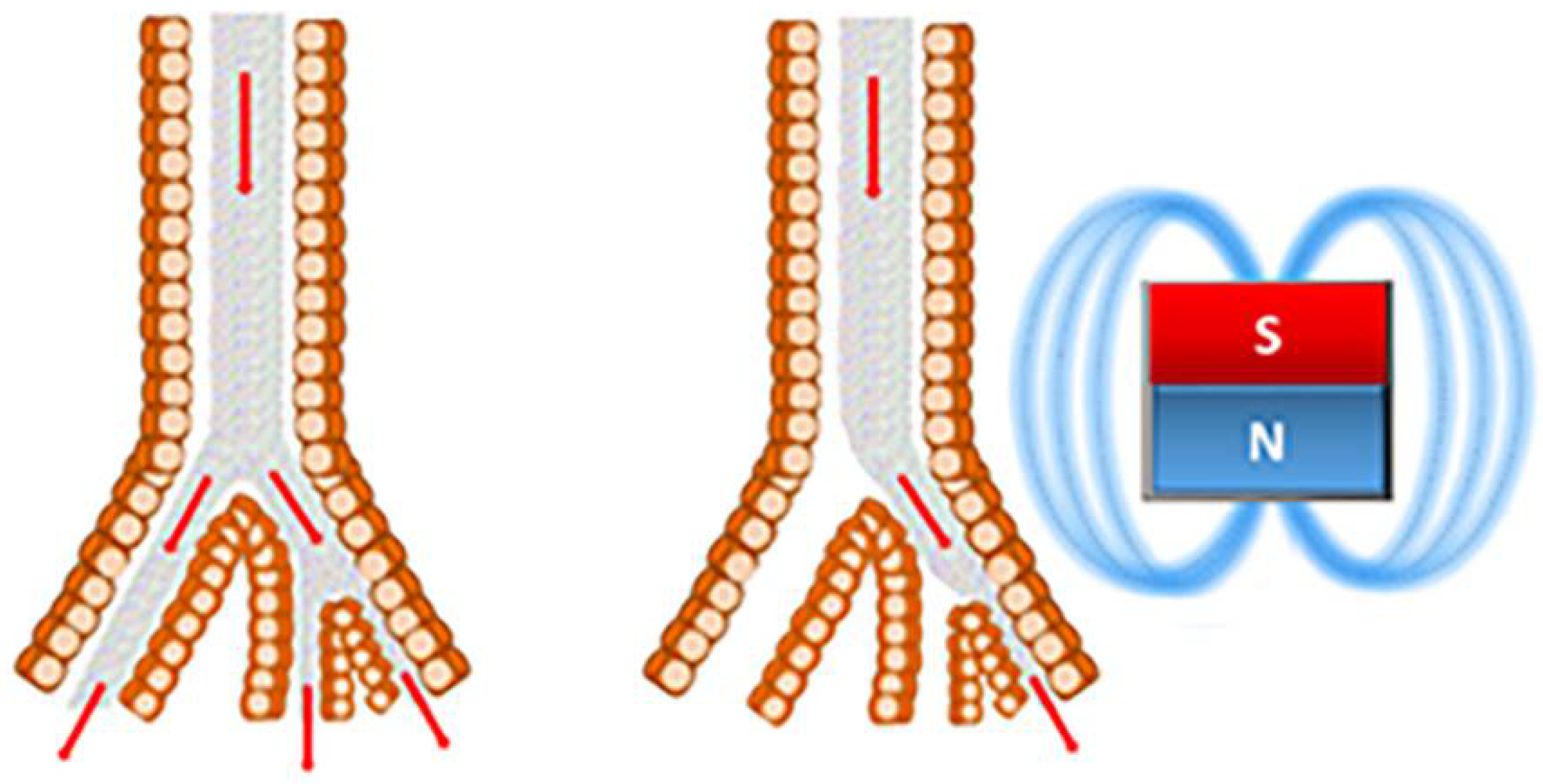 Macromol 02 00024 g003