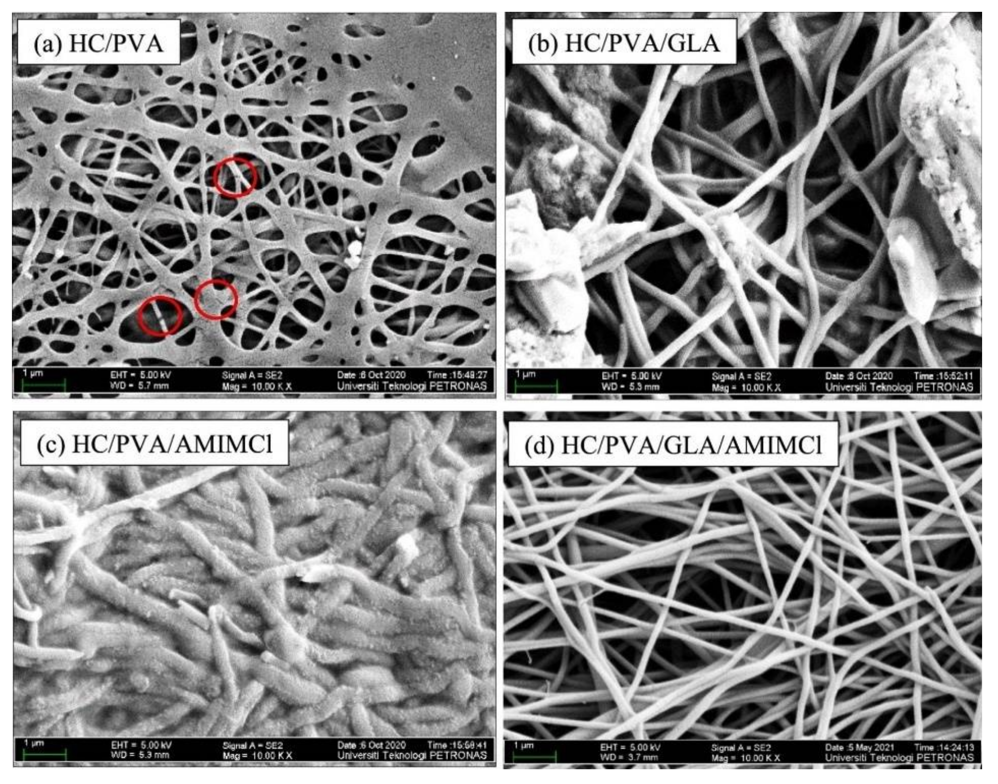 Macromol 02 00026 g005