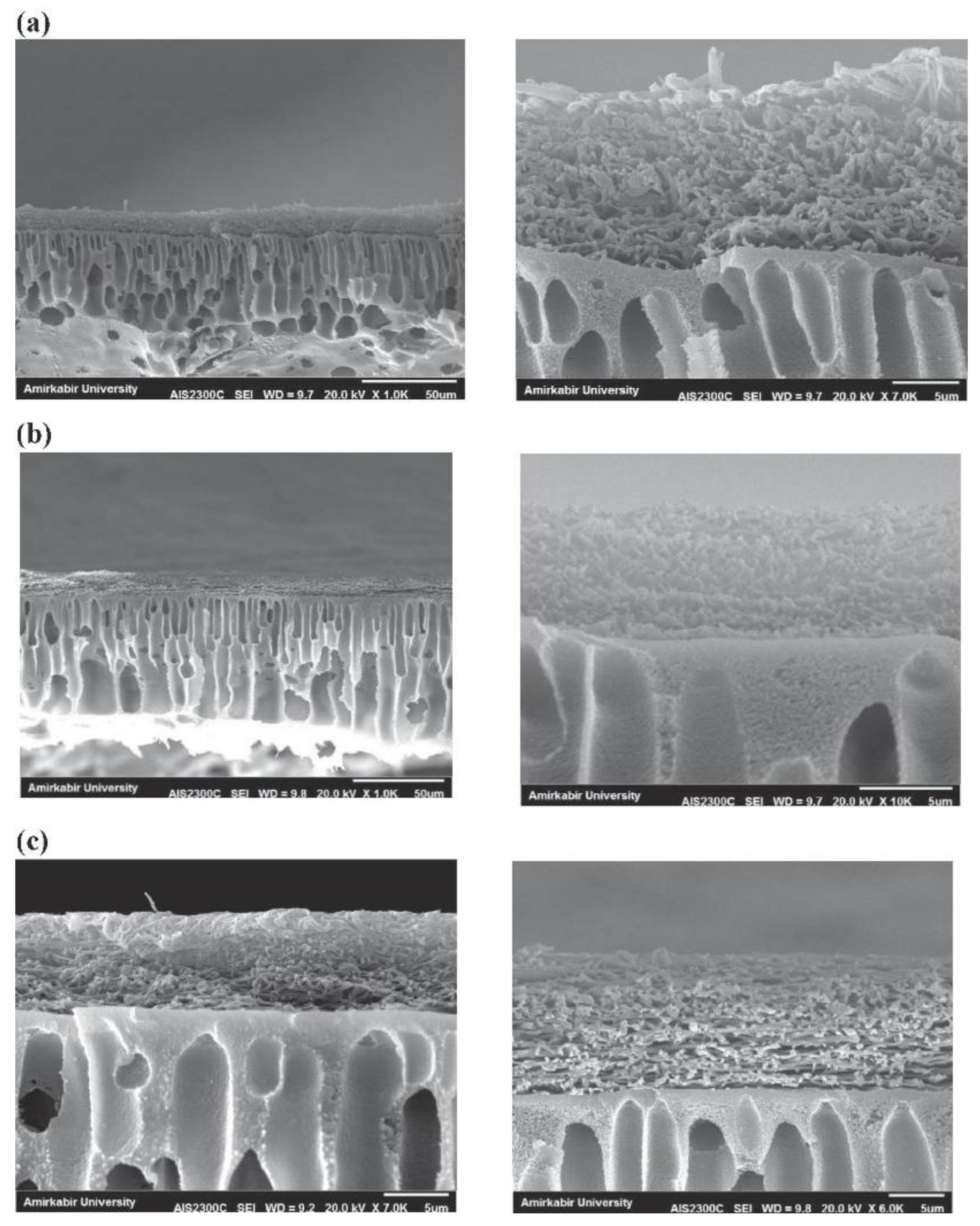 Macromol 02 00026 g006