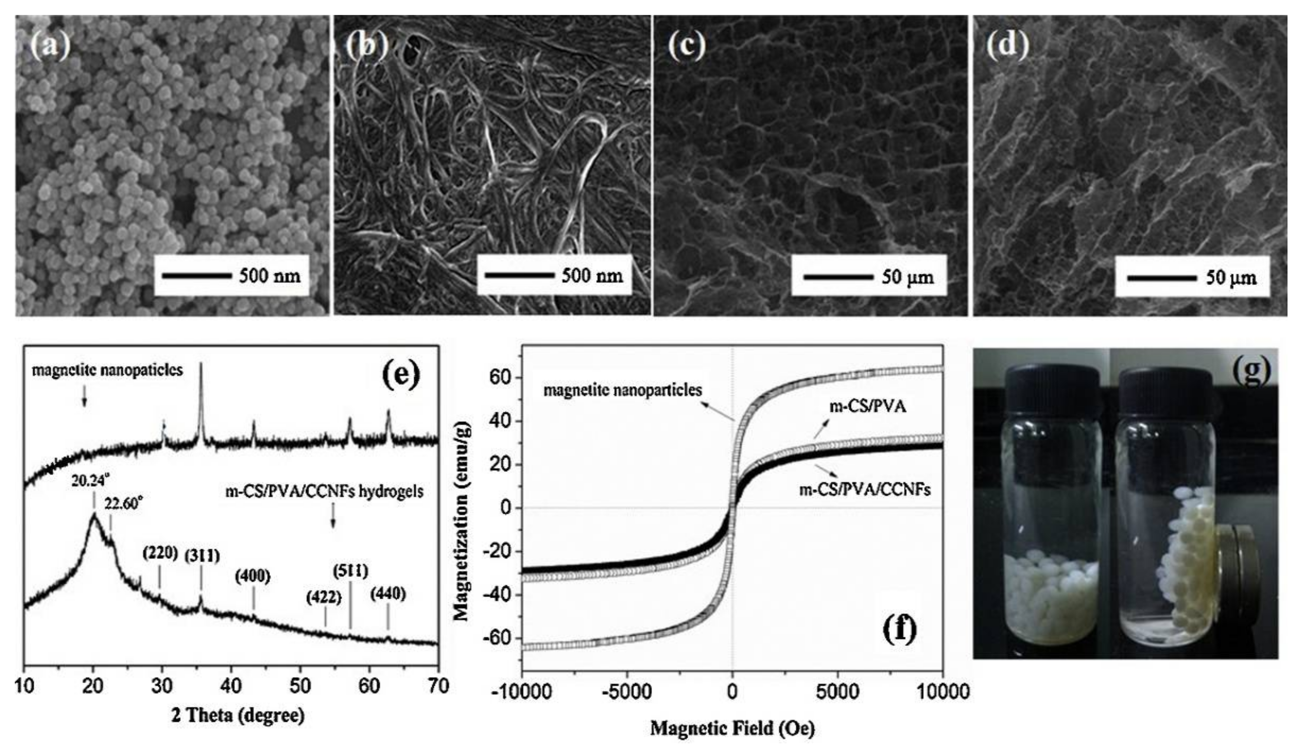 Macromol 02 00026 g008