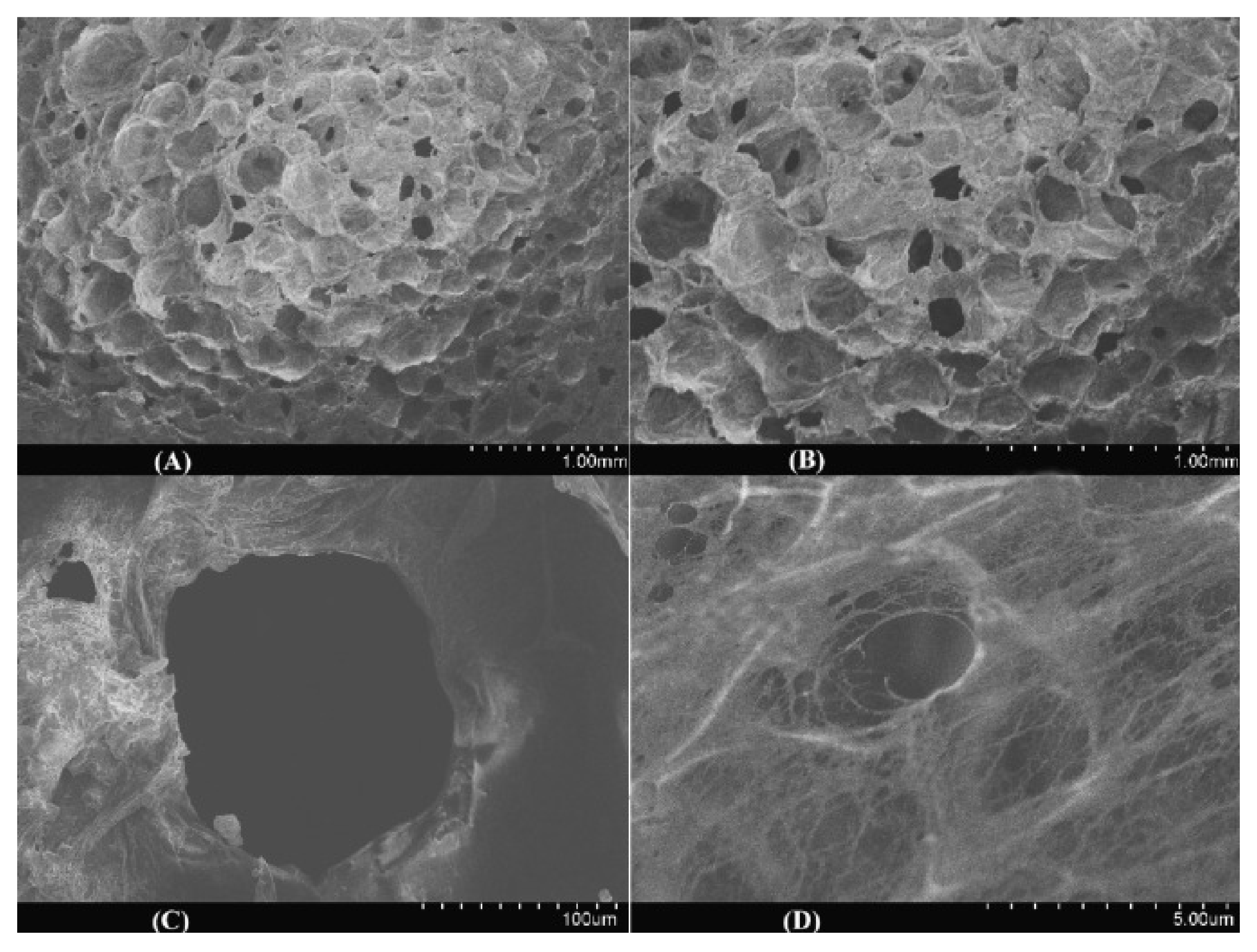 Macromol 02 00026 g010