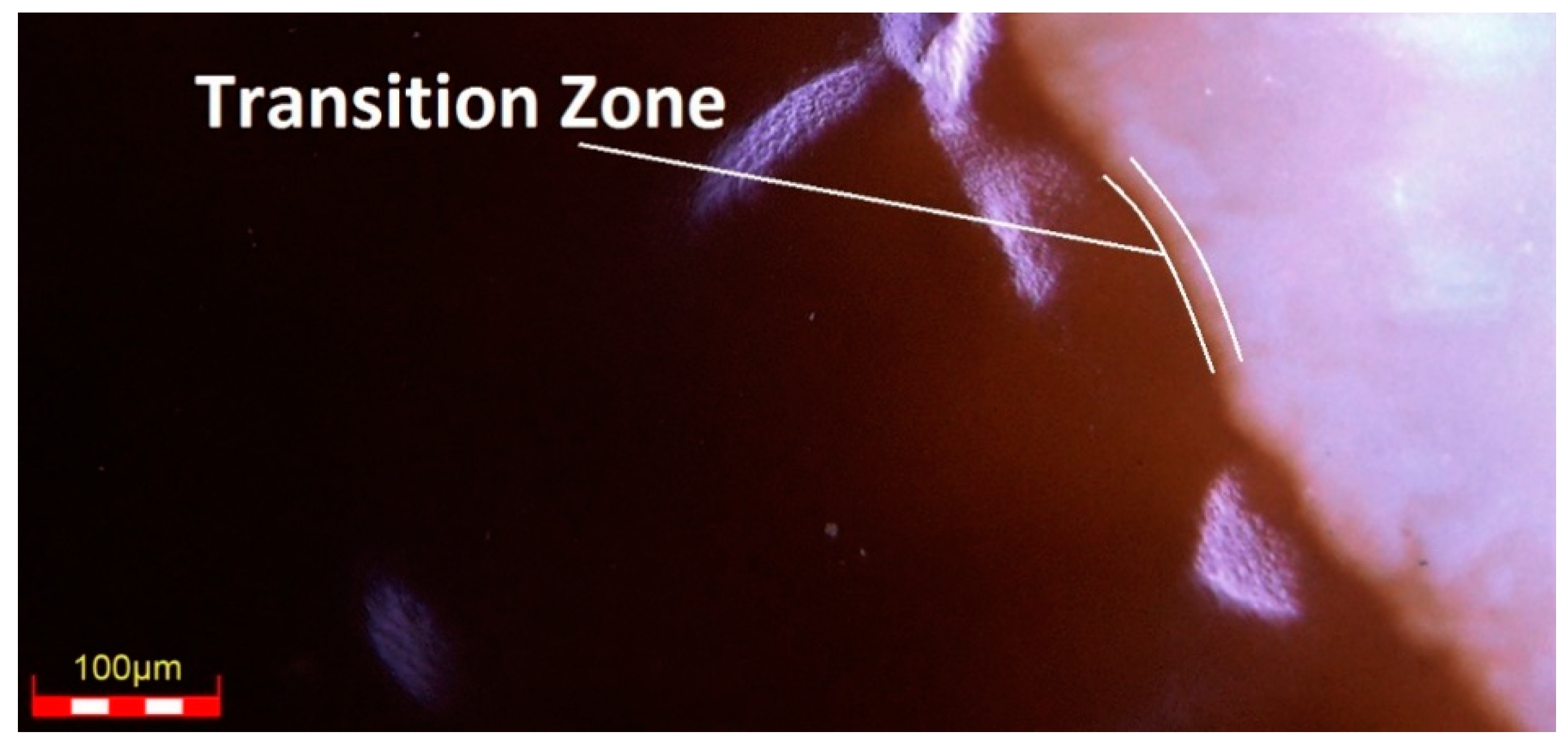 Macromol 02 00036 g004 Macromol 02 00036 g004