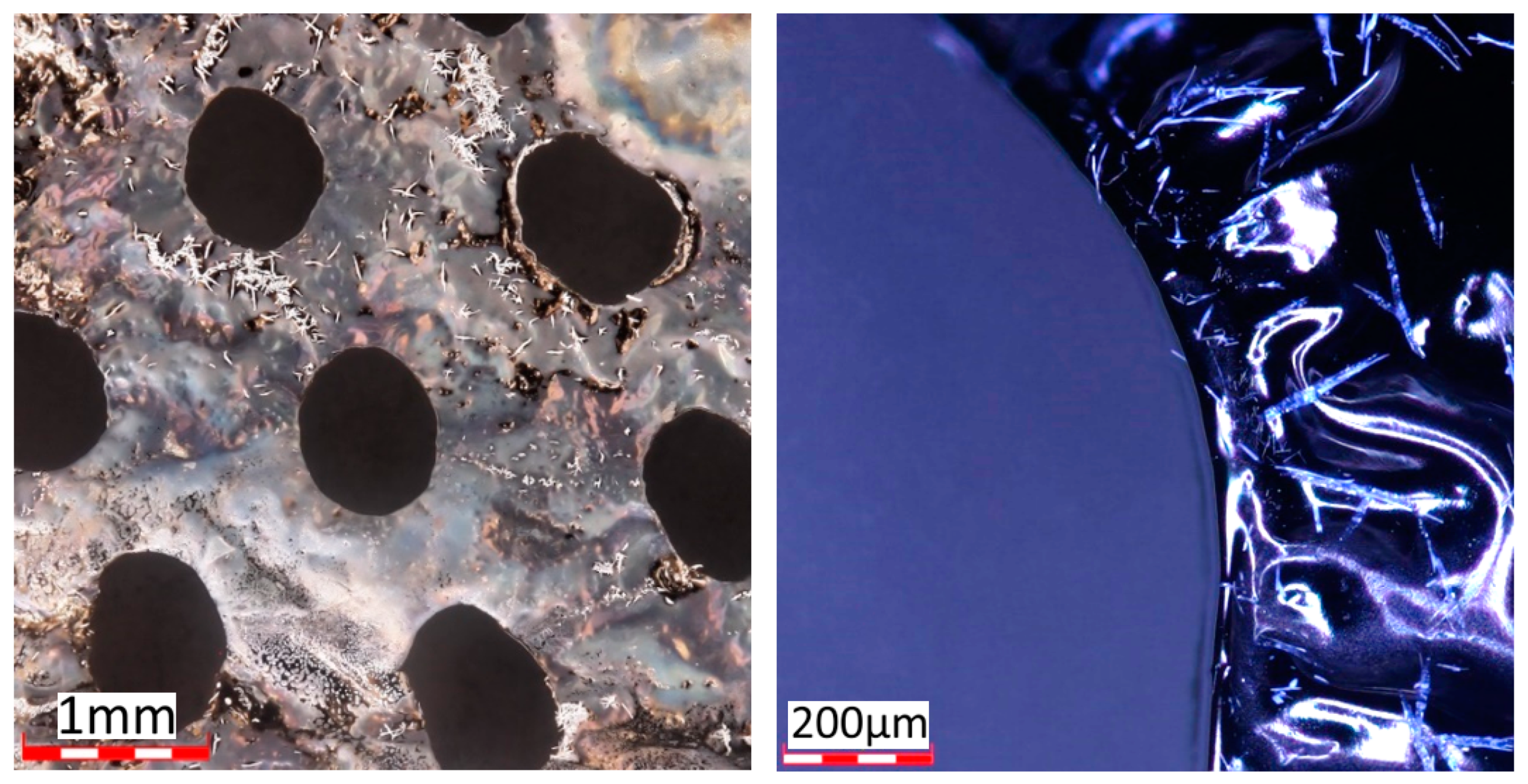 Macromol 02 00036 g007 Macromol 02 00036 g007