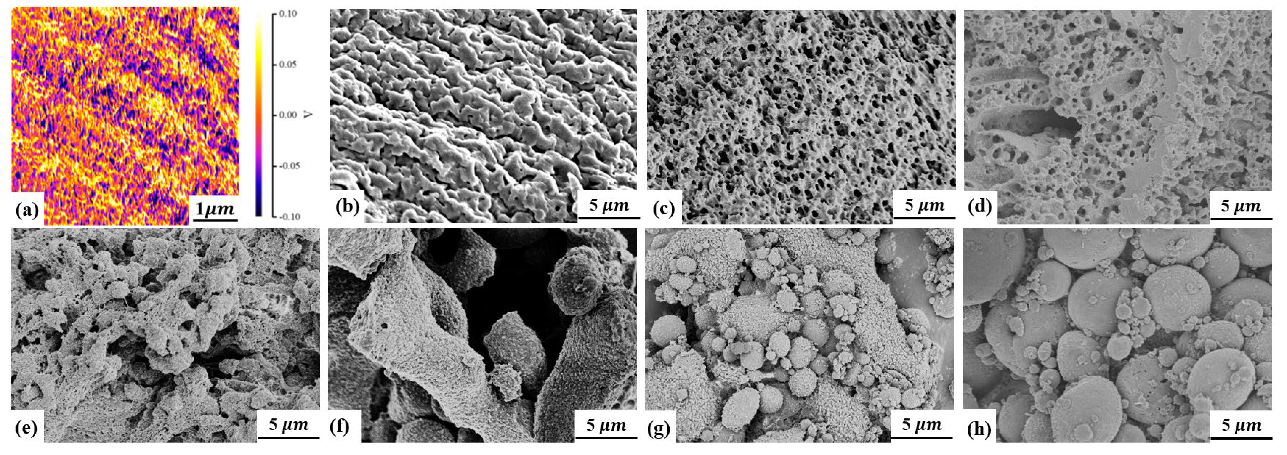 Macromol 03 00005 g001
