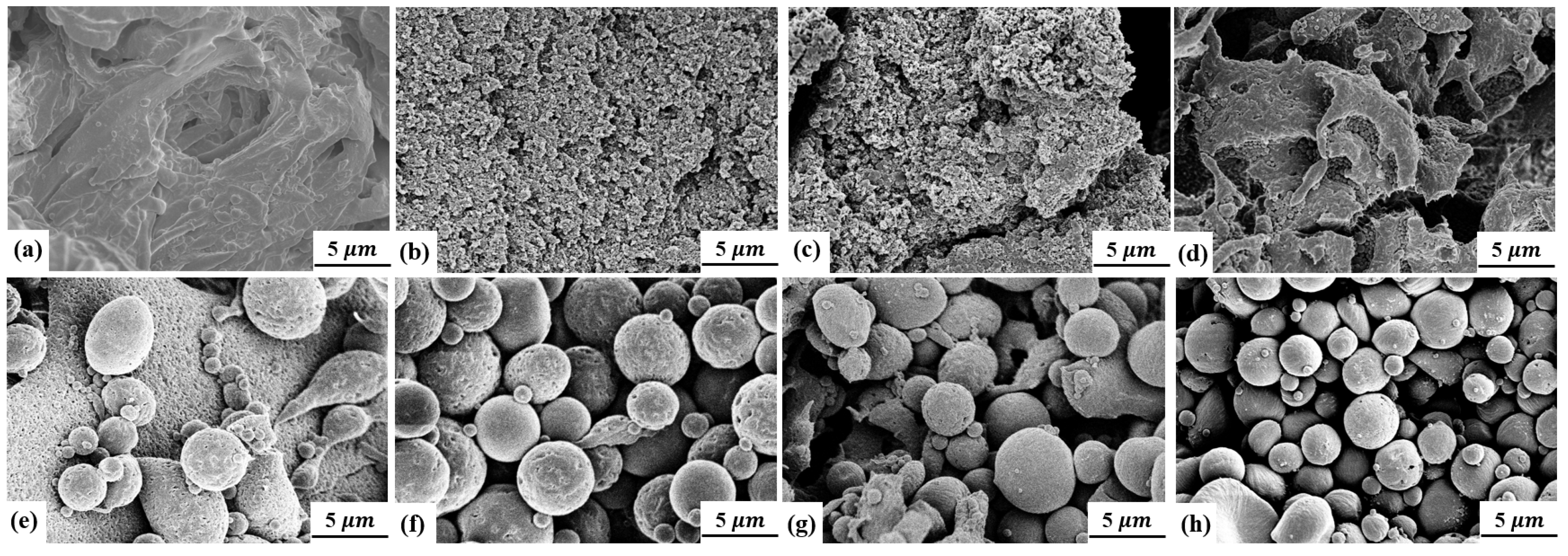 Macromol 03 00005 g002