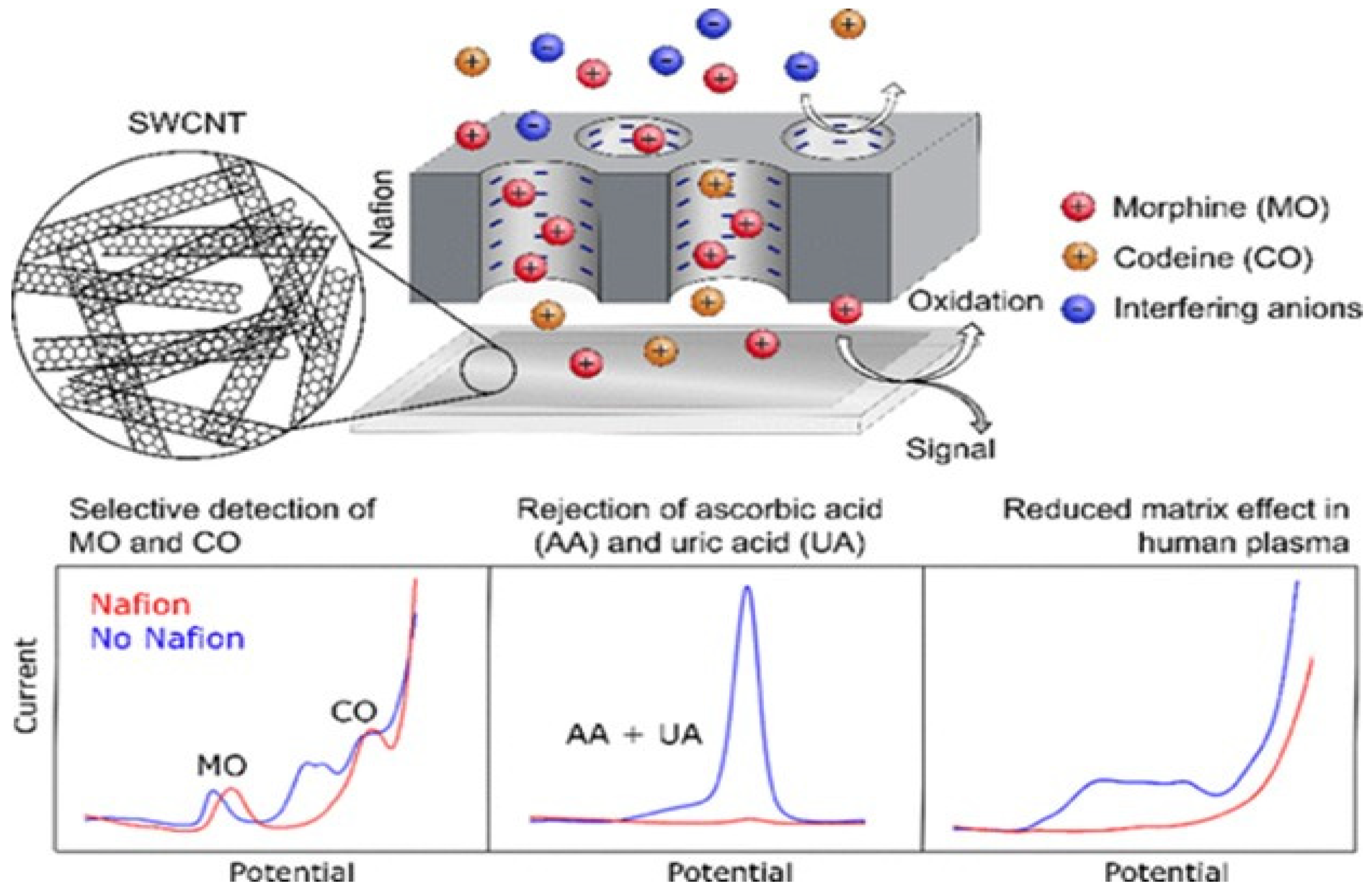 Macromol 03 00008 g003