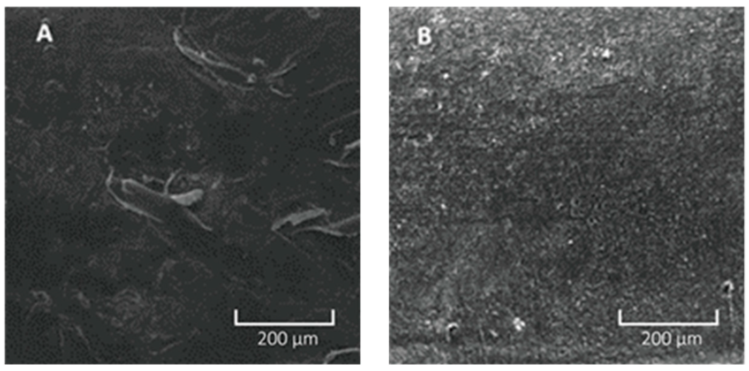 Macromol Free Full Text The Influence Of The Molecular Weight Of