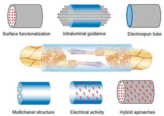 https://www.mdpi.com/macromol/macromol-03-00031/article_deploy/html/images/macromol-03-00031-g005-550.jpg