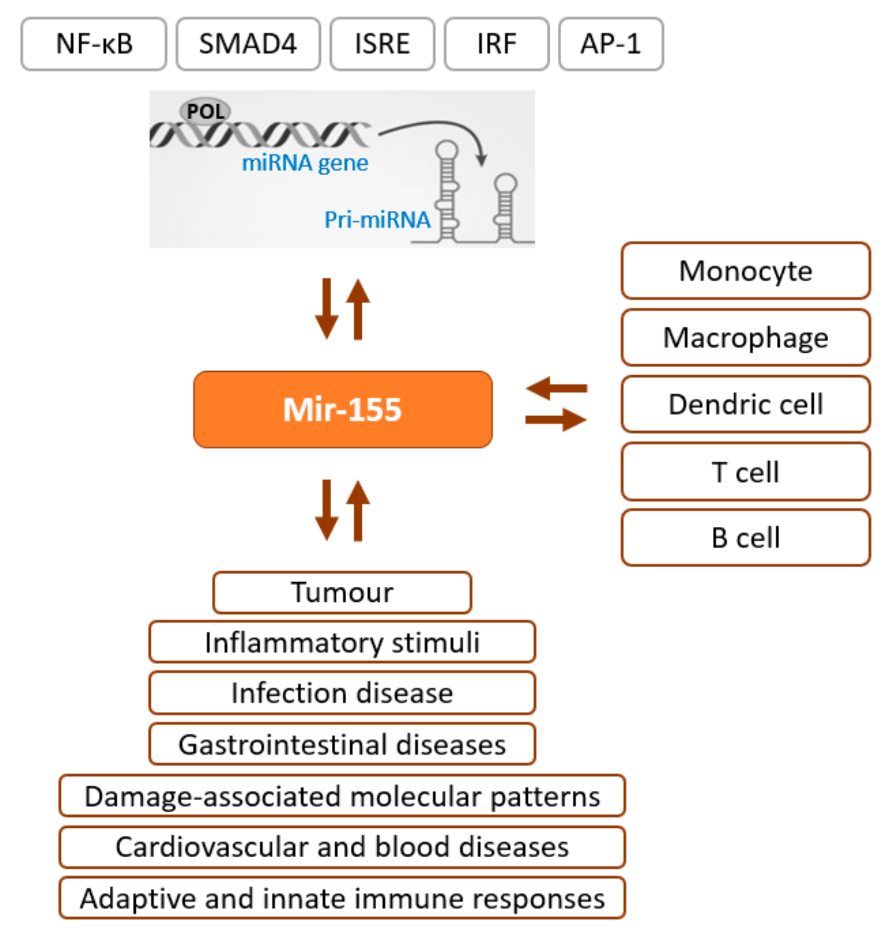 Macromol 04 00009 g001 Macromol 04 00009 g001