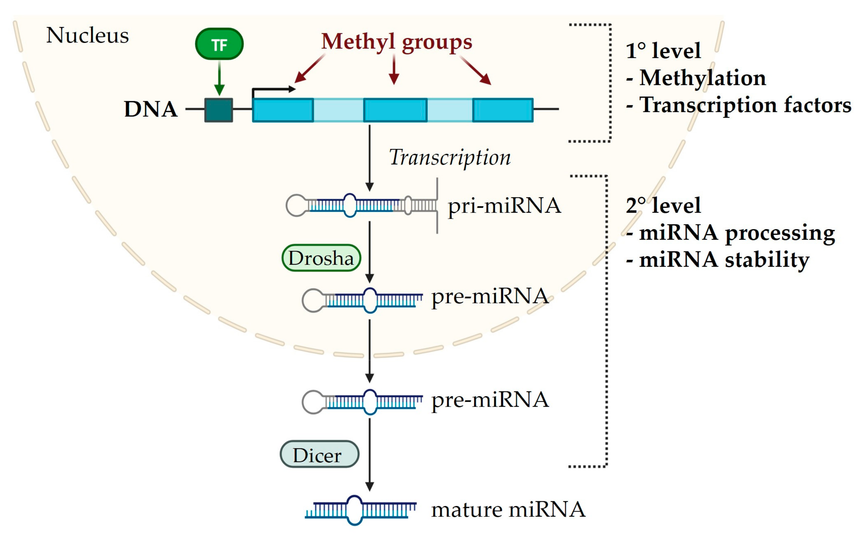 Macromol 04 00009 g002 Macromol 04 00009 g002