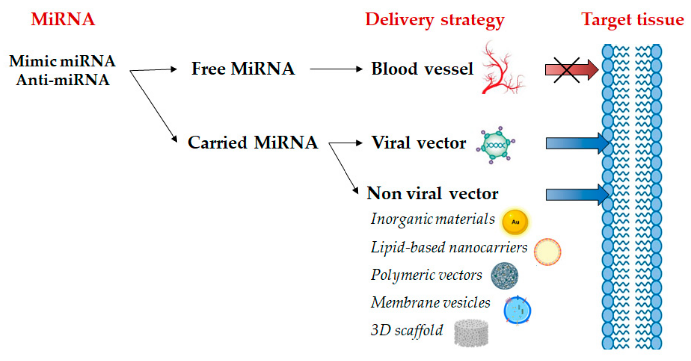 Macromol 04 00009 g003 Macromol 04 00009 g003