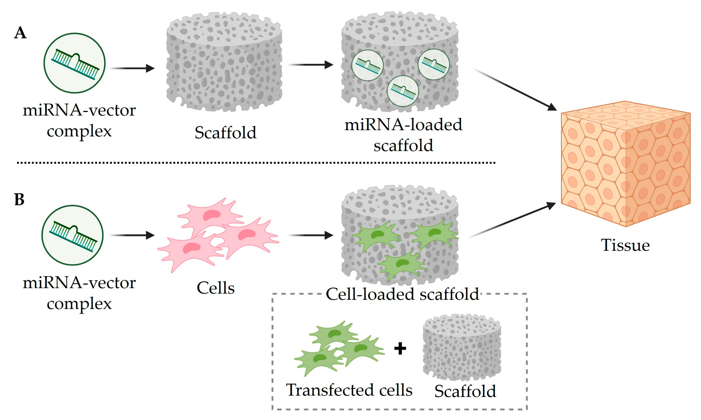 Macromol 04 00009 g005 Macromol 04 00009 g005