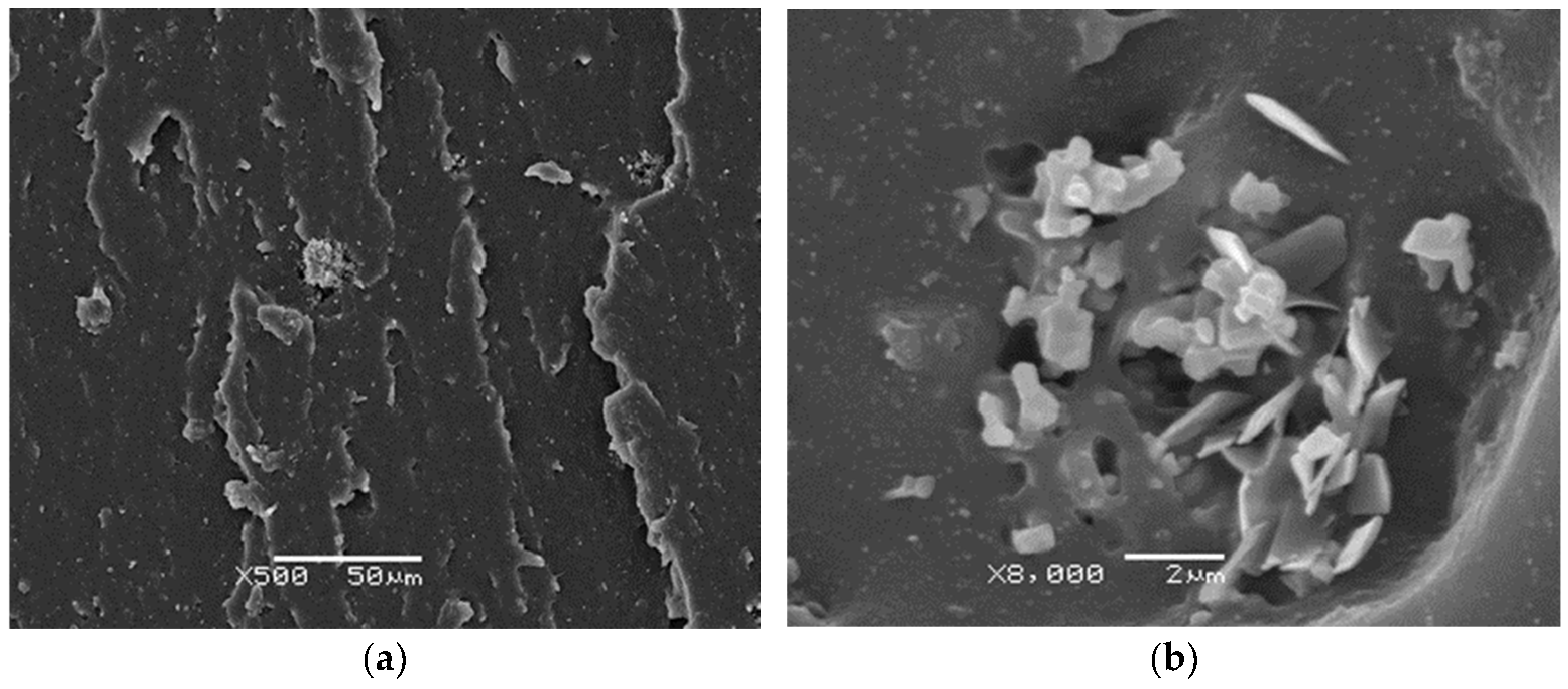 Macromol 04 00034 g010