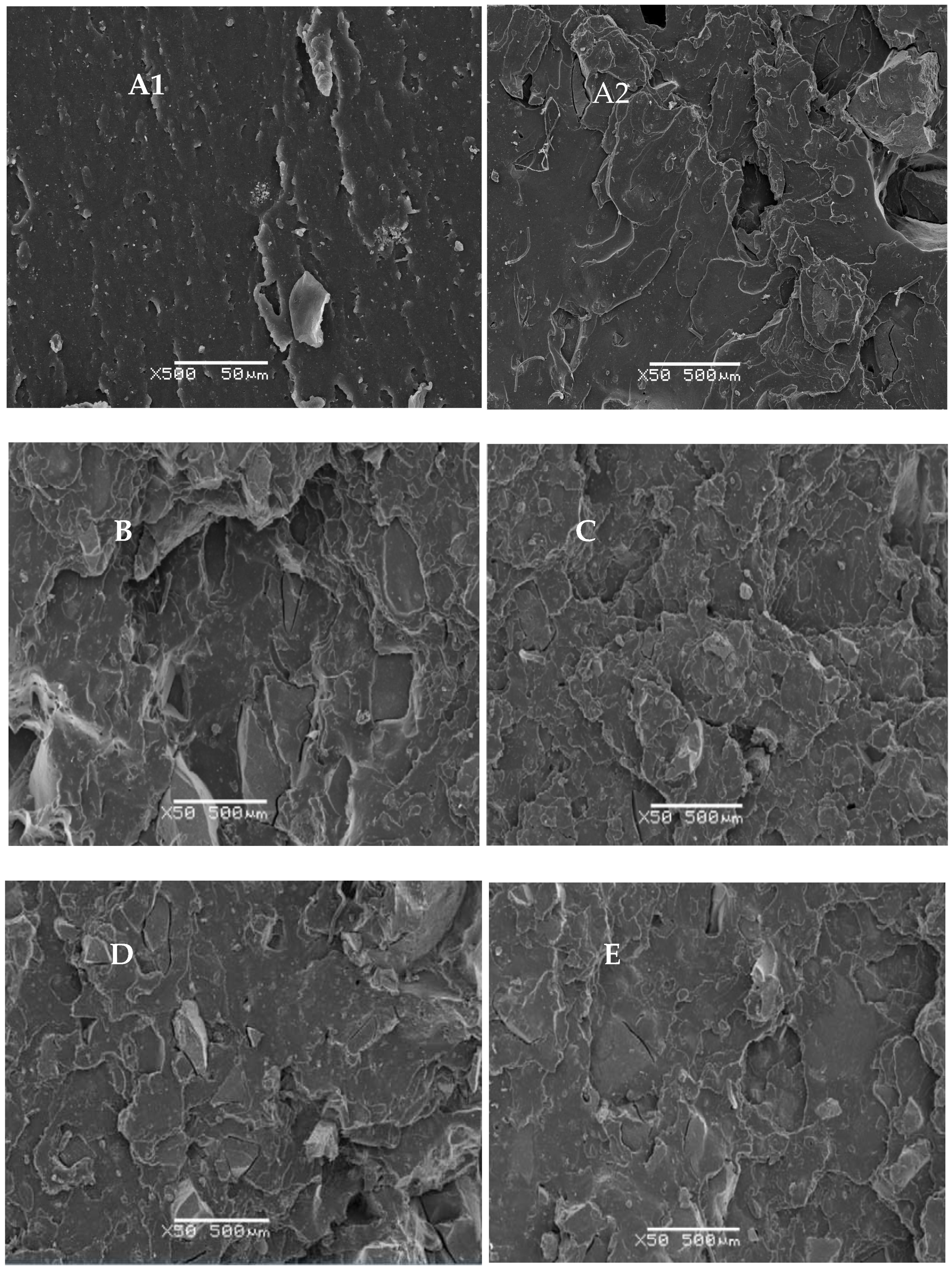 Macromol 04 00034 g013