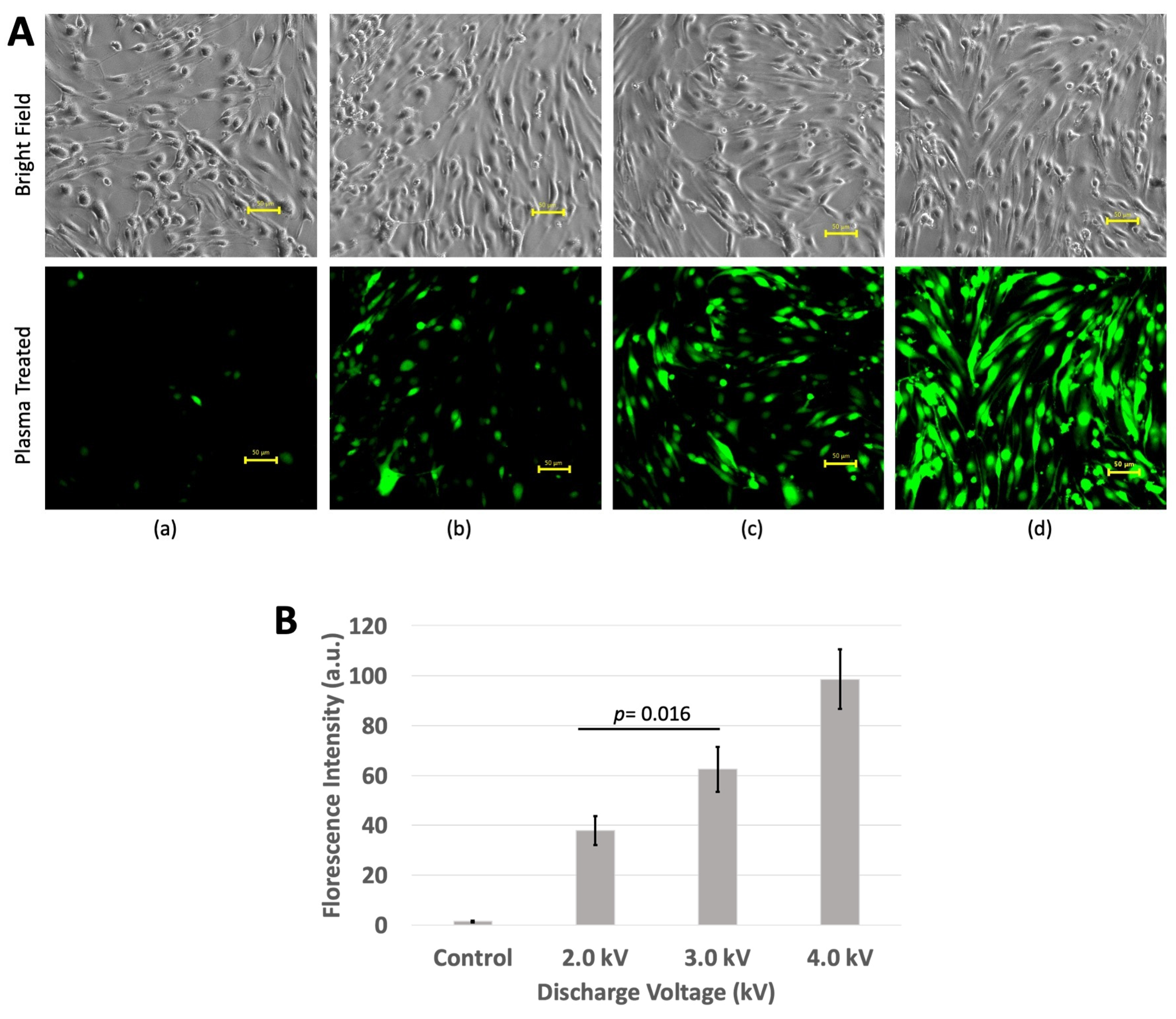 Macromol 04 00036 g005