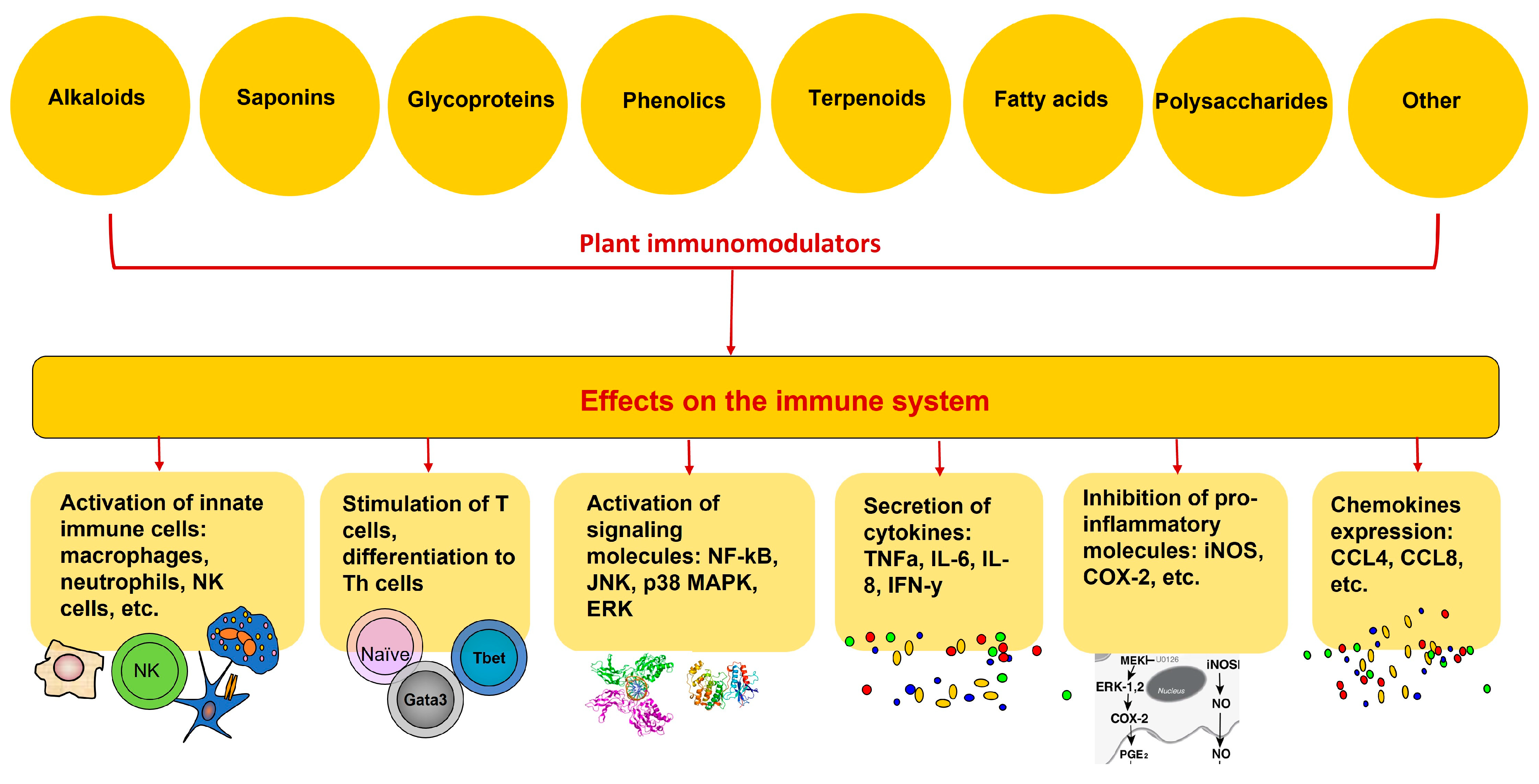 Macromol 04 00037 g001