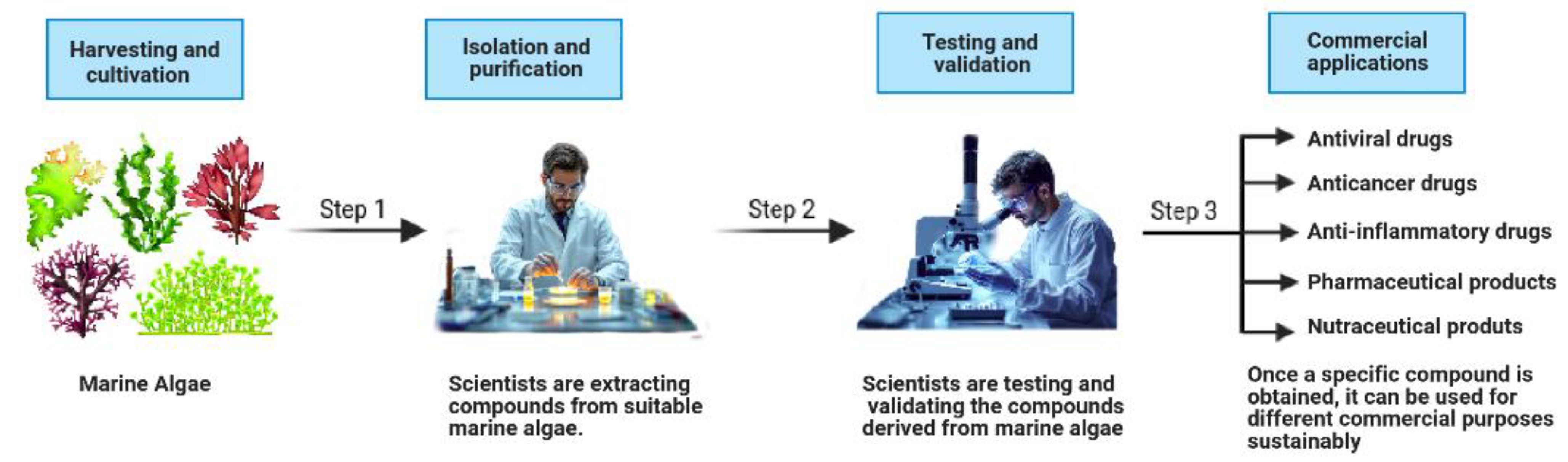 Macromol 05 00011 g001