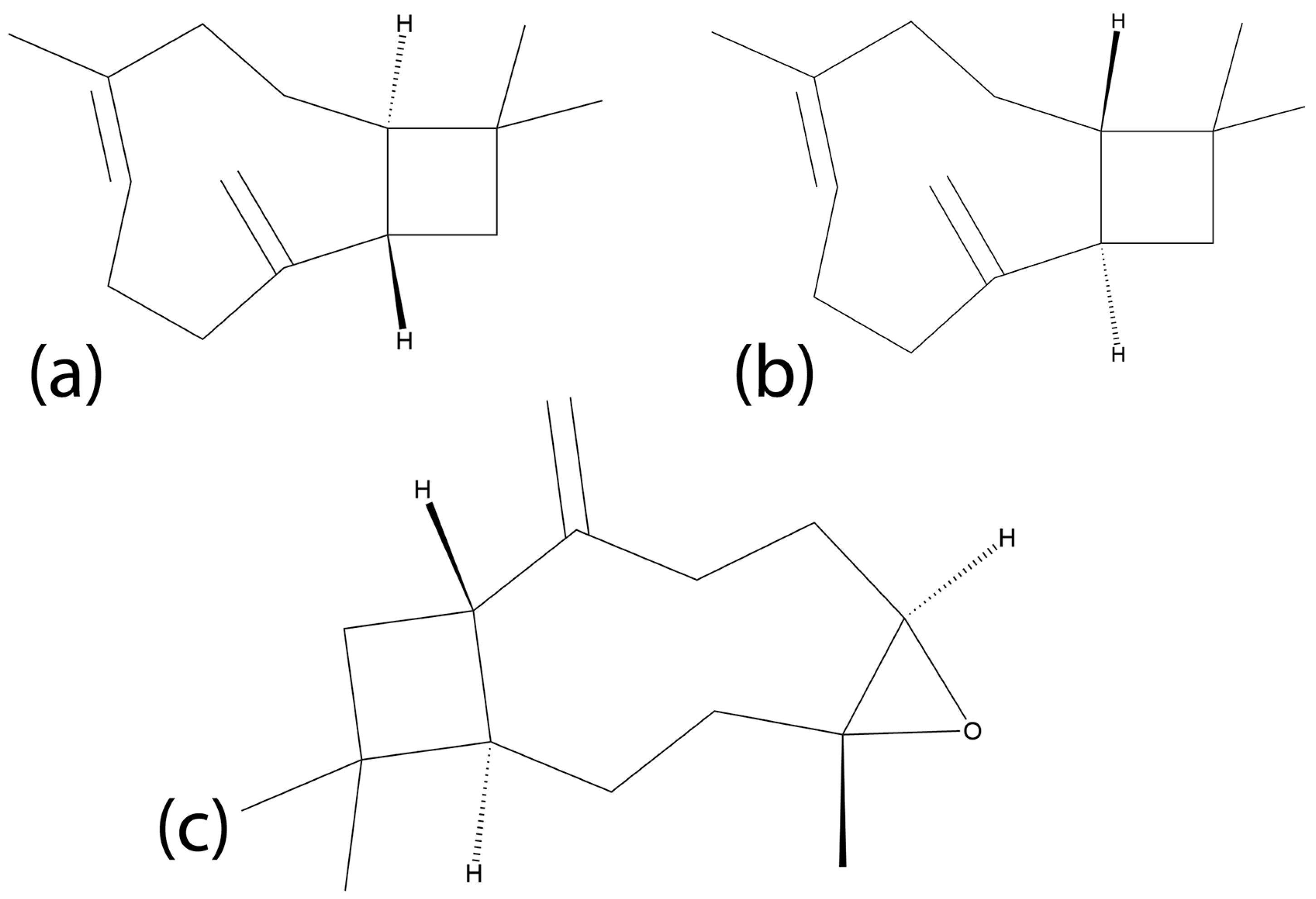 Macromol 05 00013 g003