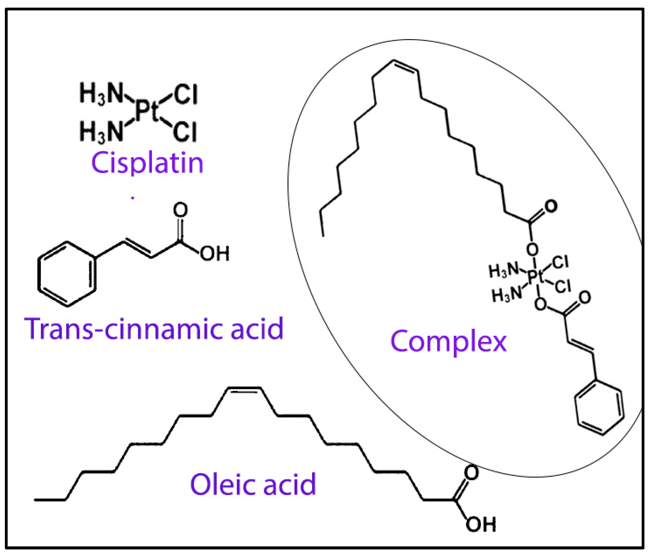 Macromol 05 00013 g007