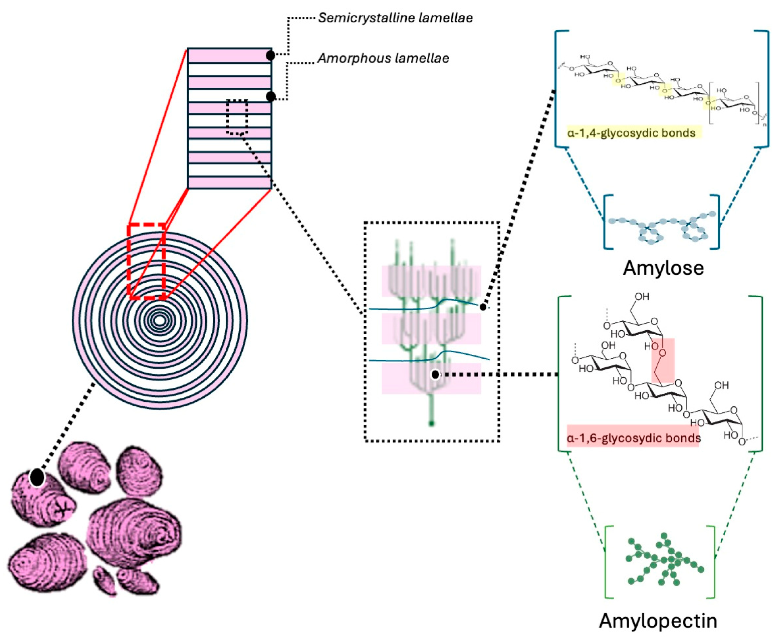 Macromol 05 00019 g001