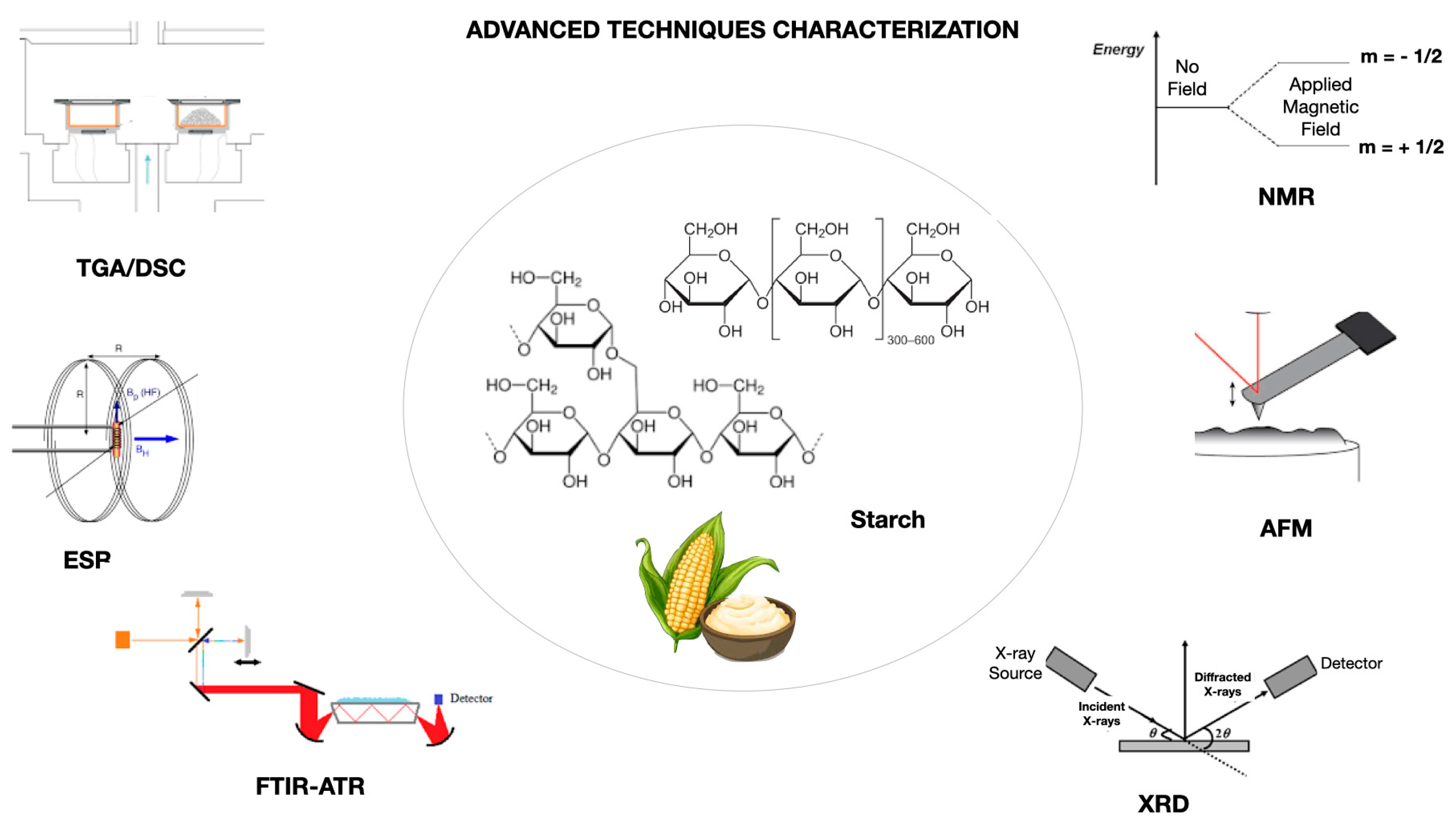 Macromol 05 00019 g002