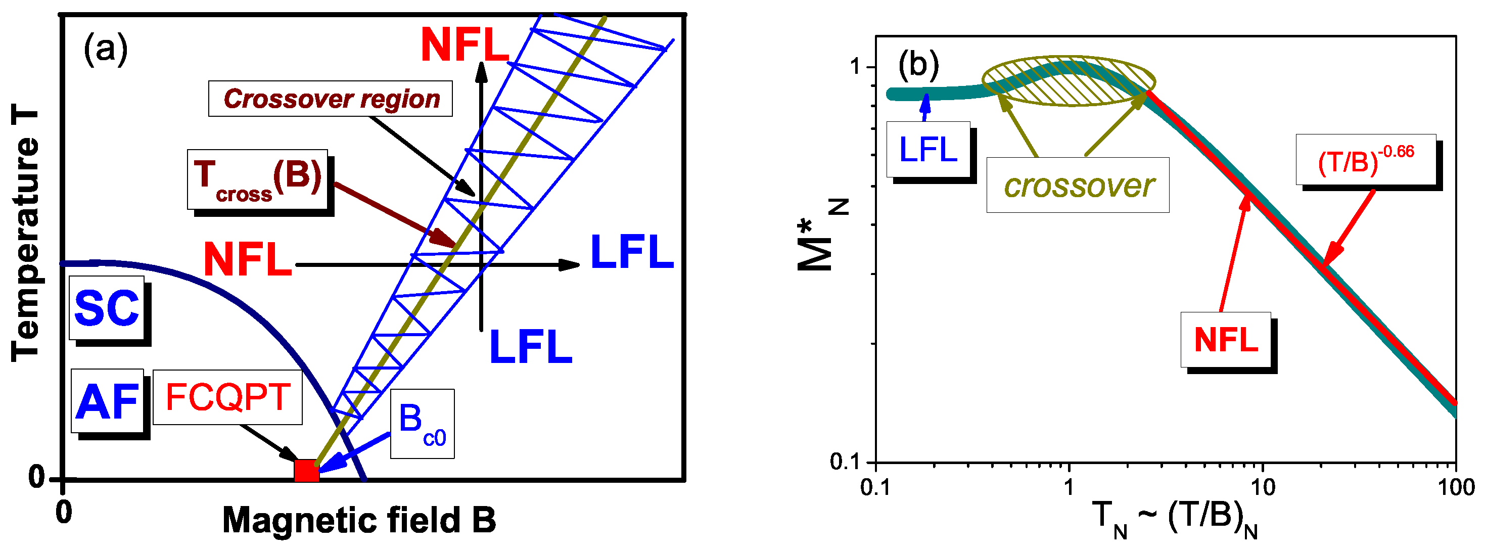 Magnetism 03 00015 g002