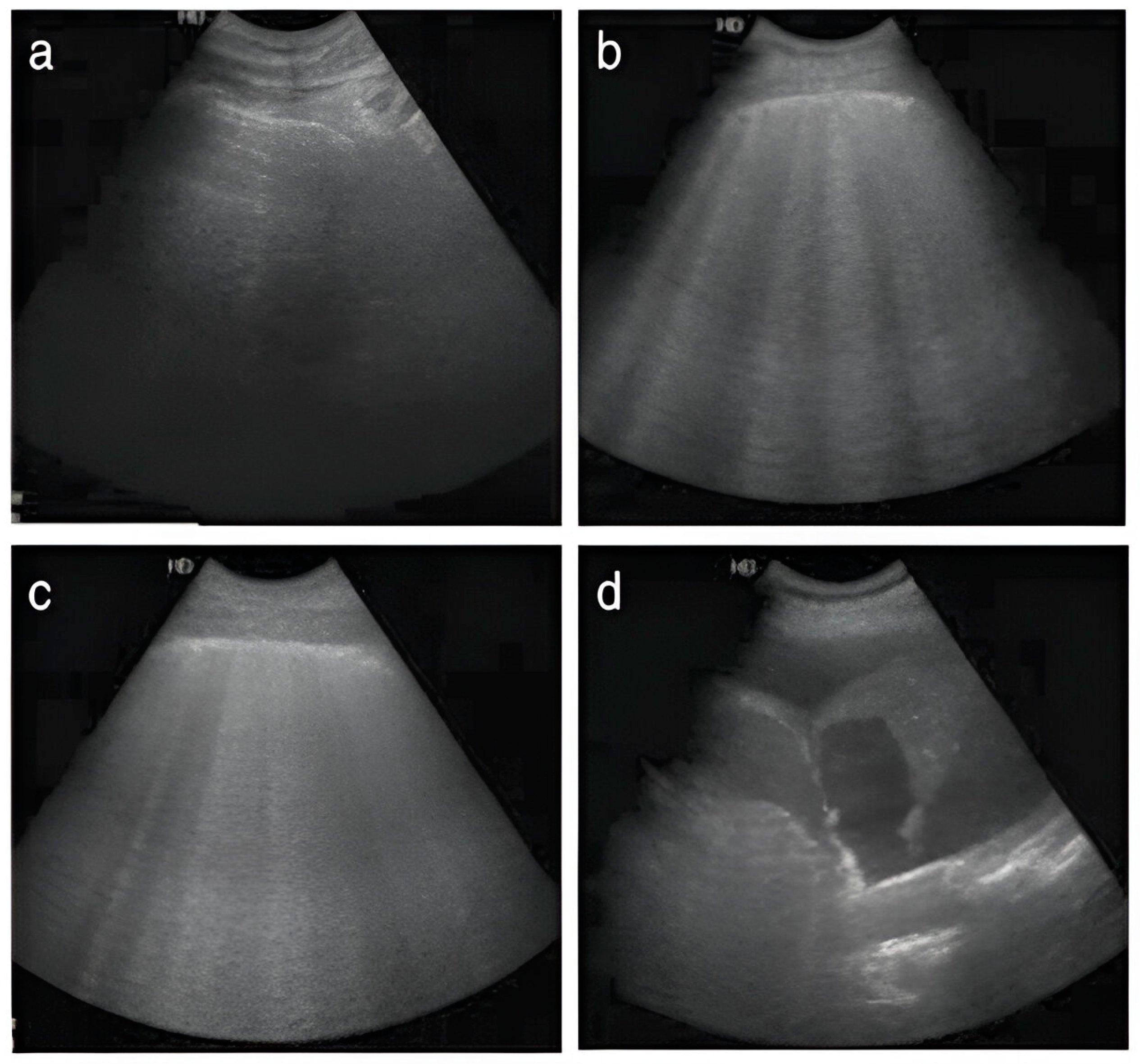 Magnetism 04 00015 g017