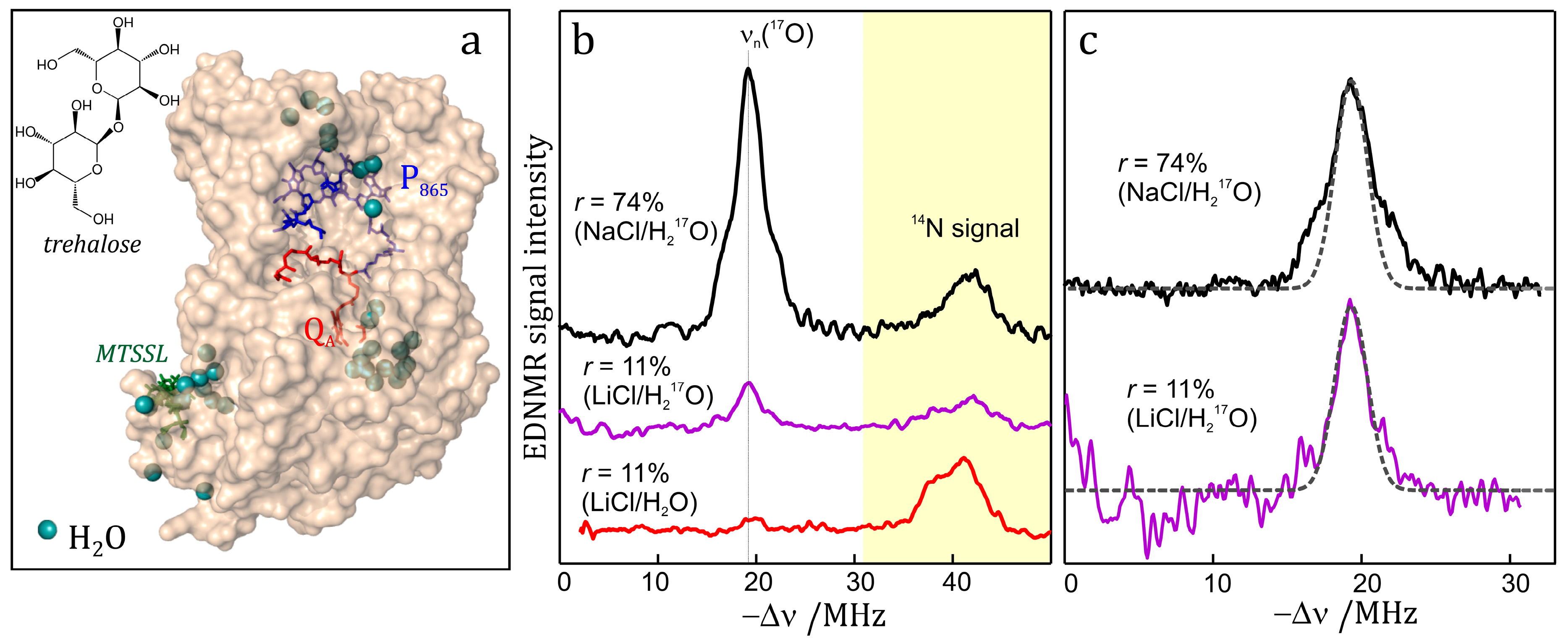 Shel Pake Bf Xxx - Magnetochemistry | Free Full-Text | Biomolecular EPR Meets NMR at ...